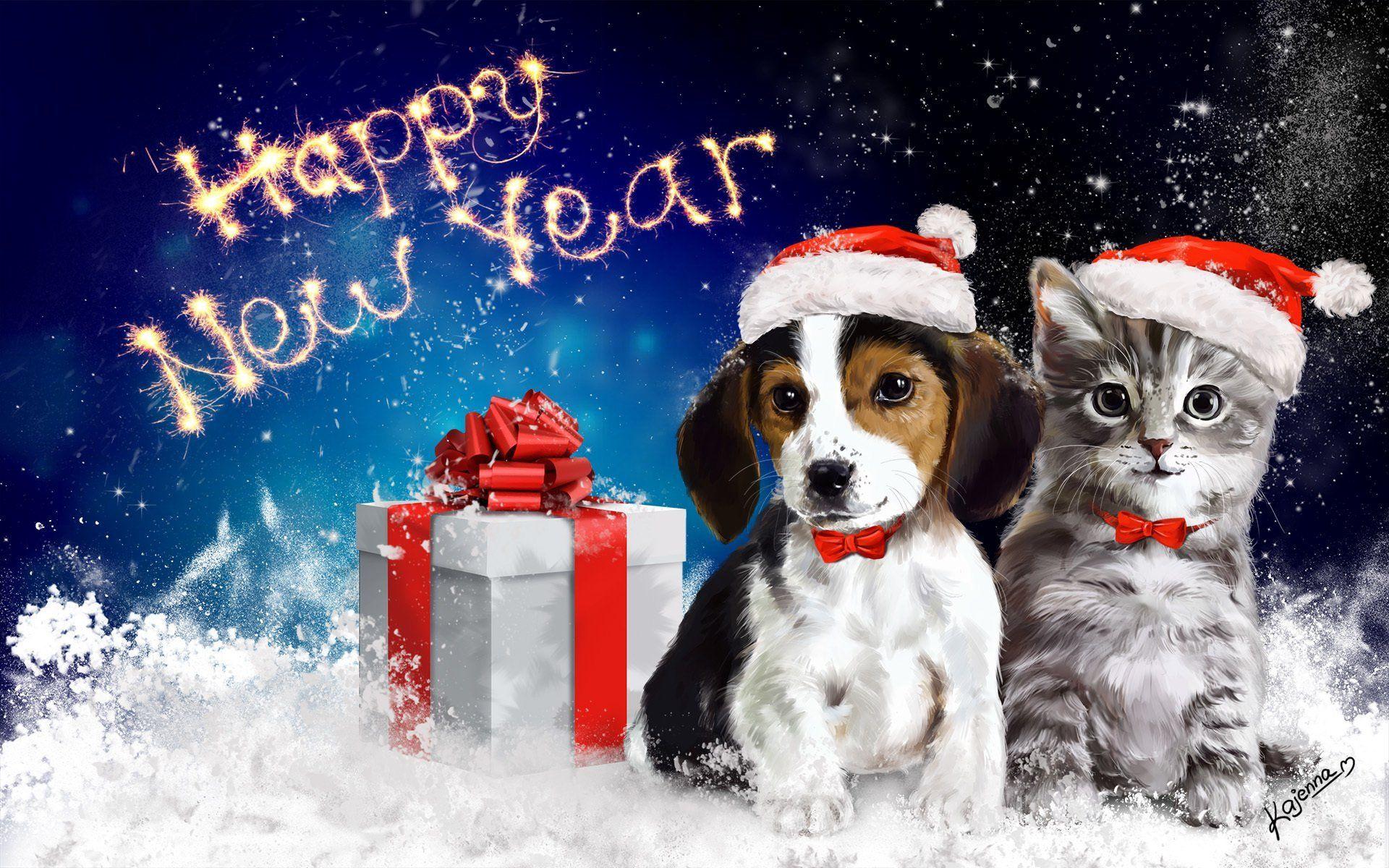 New Year's Cat Wallpapers Top Free New Year's Cat Backgrounds