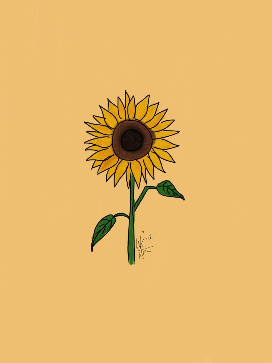 Sunflower Minimalist Wallpapers - Top Free Sunflower Minimalist Backgrounds - WallpaperAccess