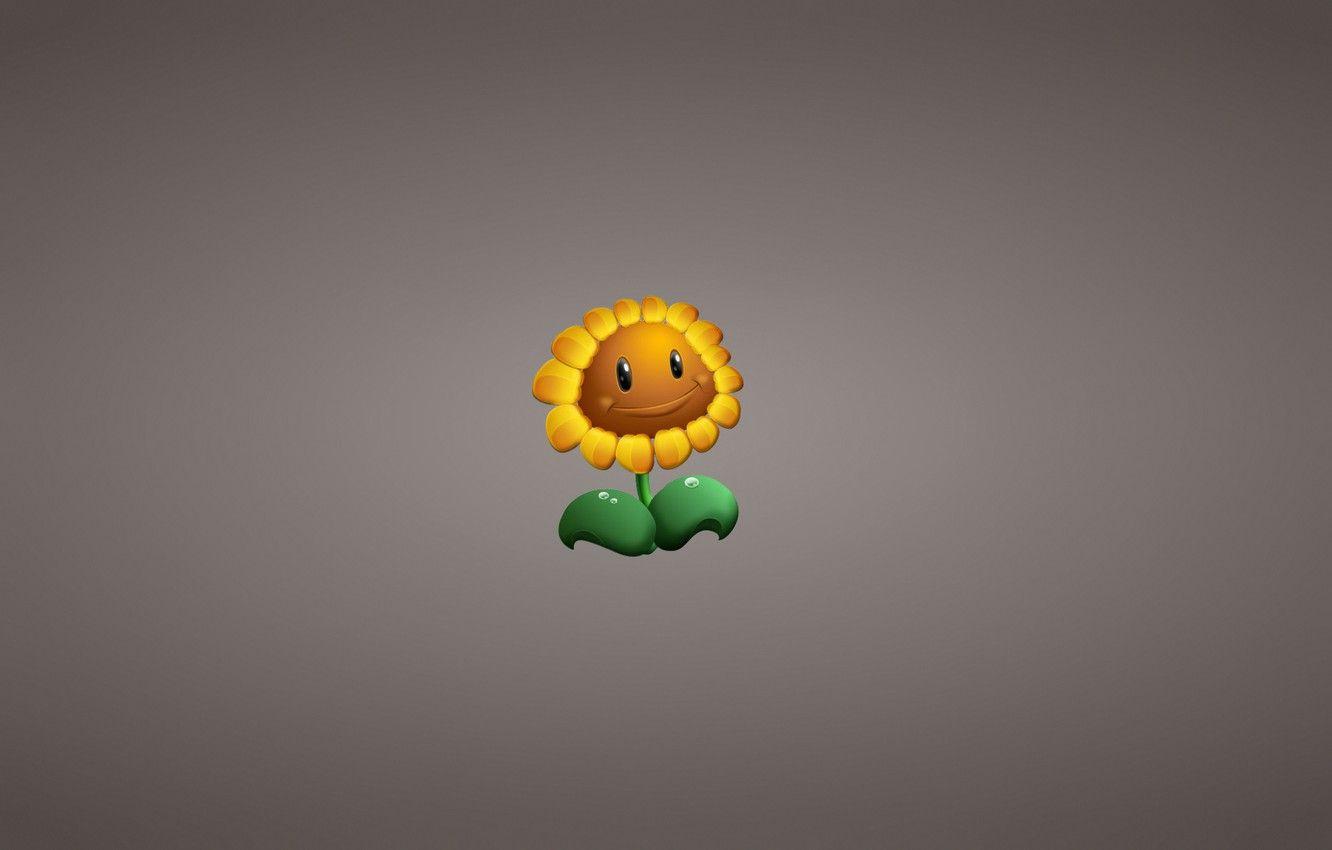 1332x850 Wallpaper flower, plant, sunflower, minimalism, Plants vs. Zombies image for desktop, section минимализм