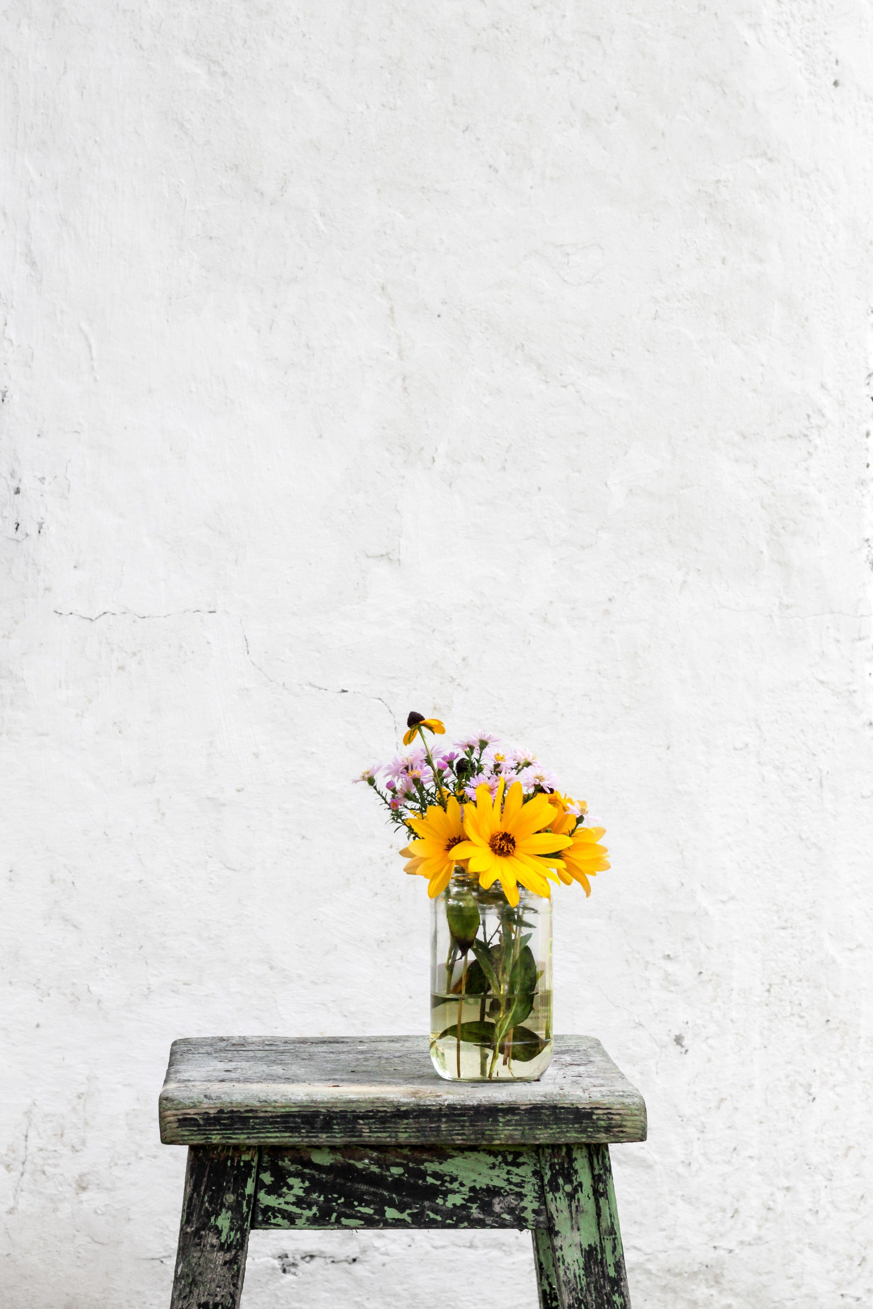 Sunflower Minimalist Wallpapers - Top Free Sunflower Minimalist
