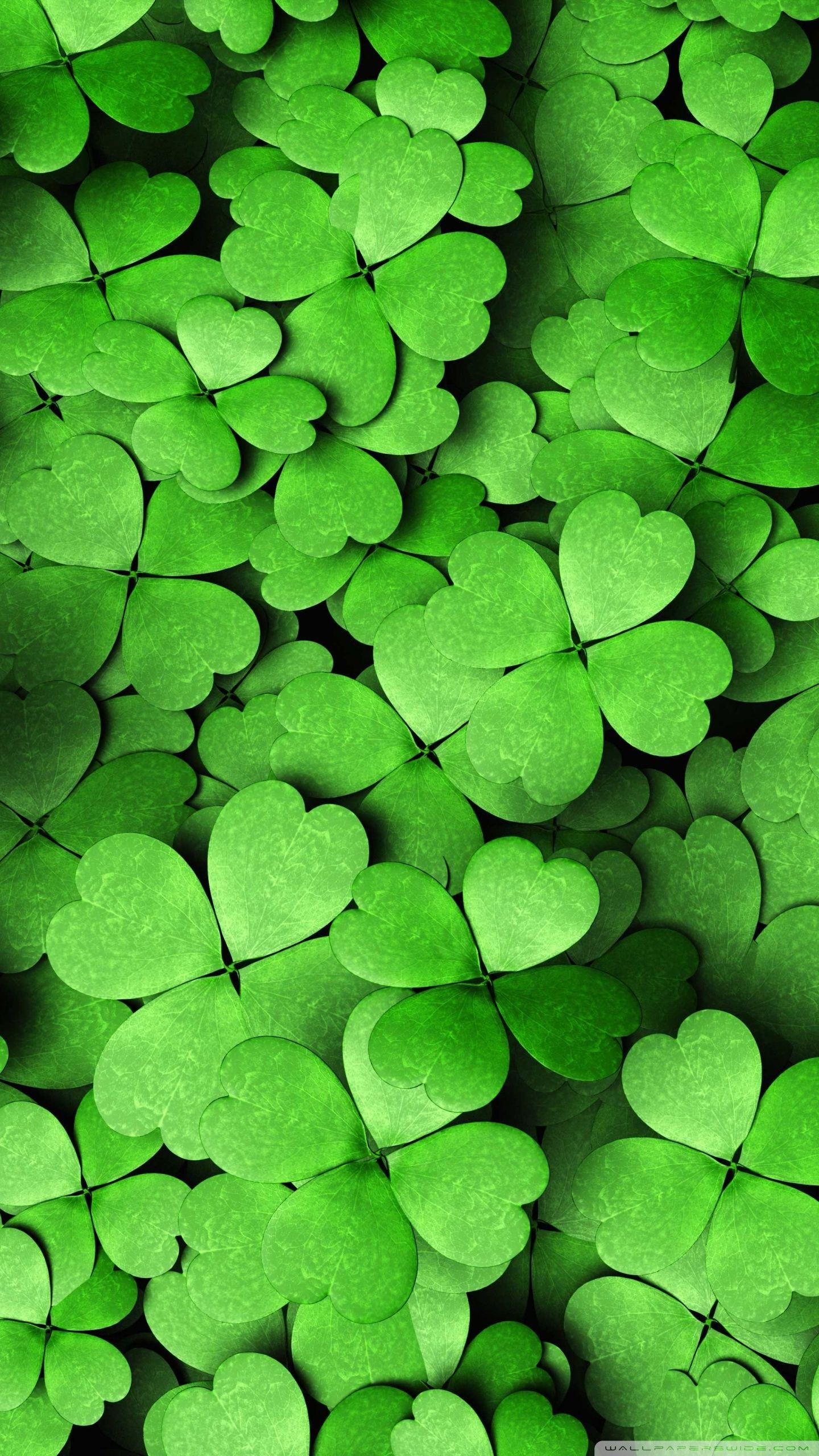 1440x2560 Android 4 Leaves Clover Wallpaper