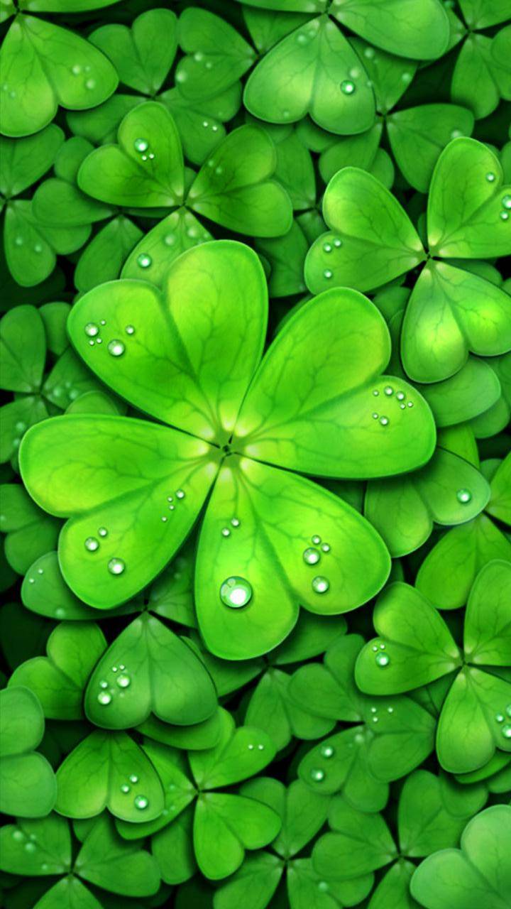 720x1280 Android 4 Leaves Clover Wallpaper