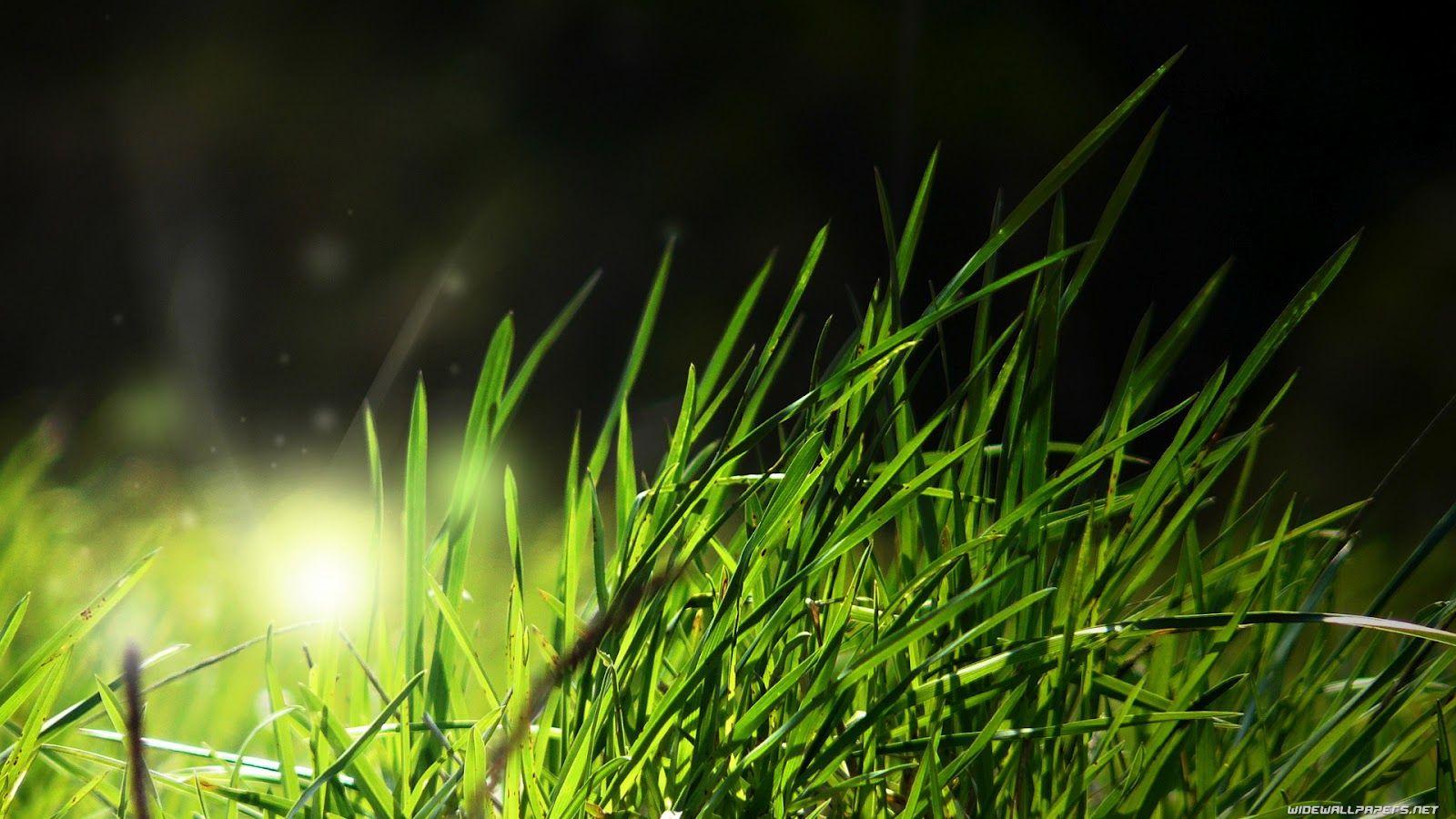 1600x900 background wallpaper full HD