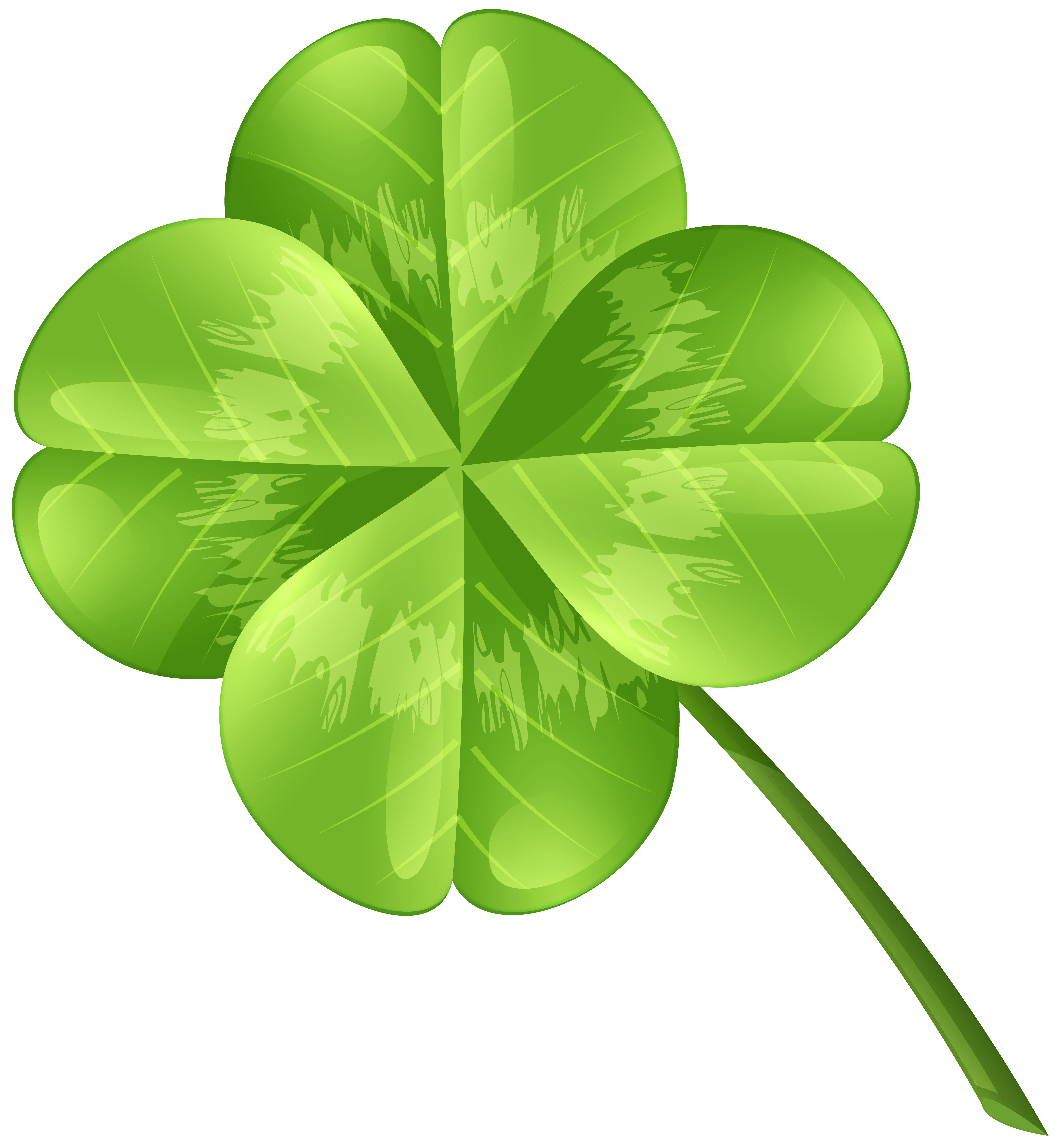 7372x8000 Four Leaf Clover Transparent Image Quality Image And Transparent PNG Free Clipart