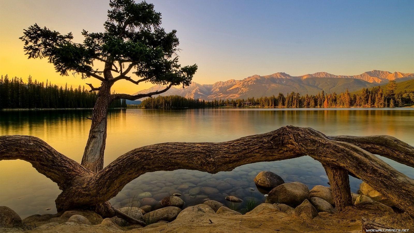 1600x900 Group of Nature Desktop Wallpaper 1600X900