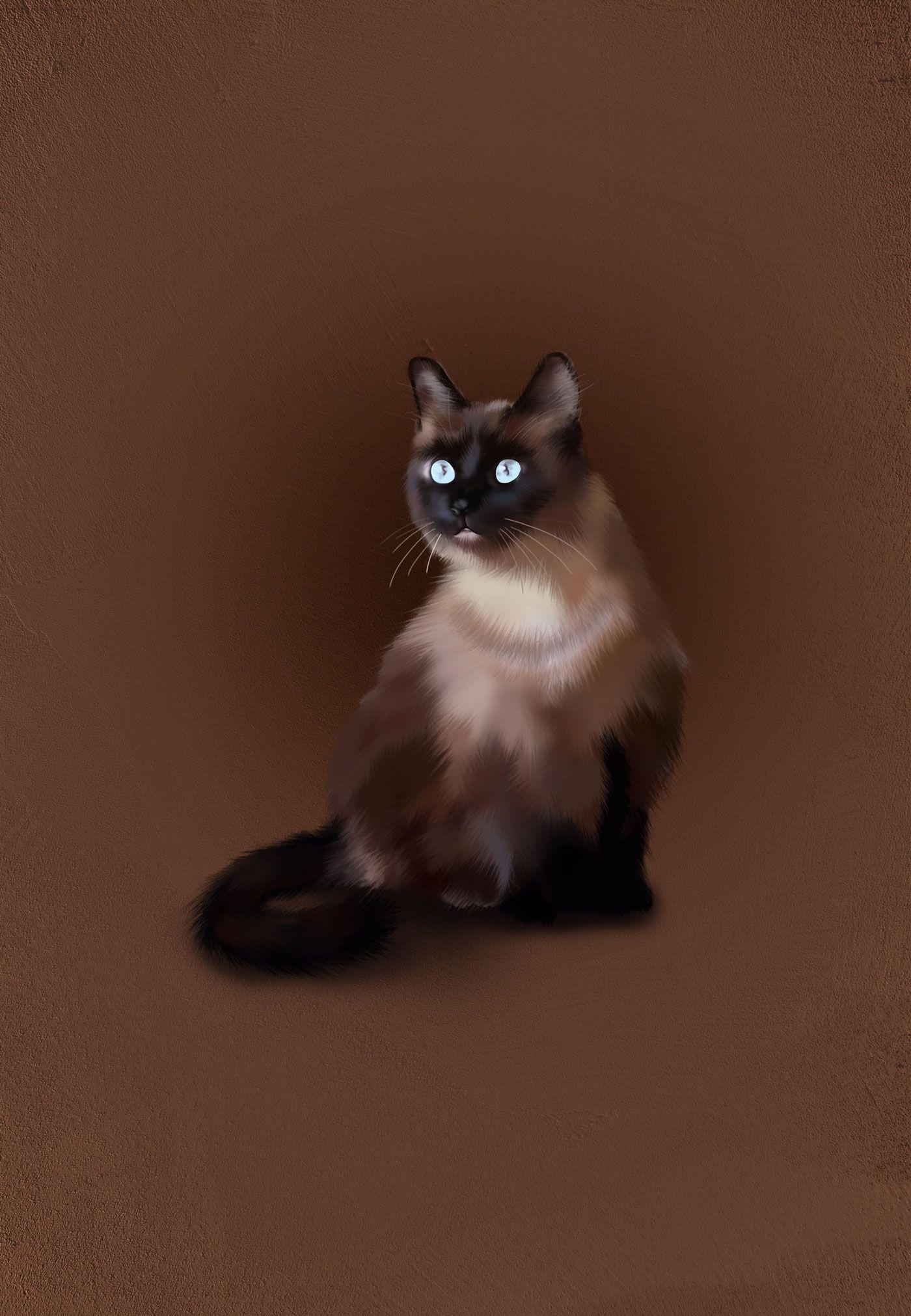 1400x2022 Illustration: Siamese cat