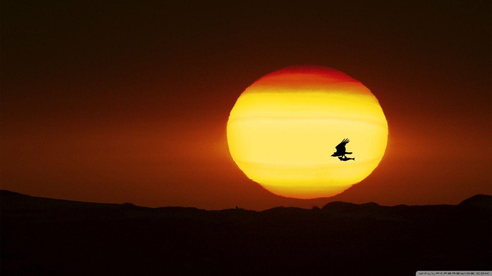 1600x900 Wallpaper