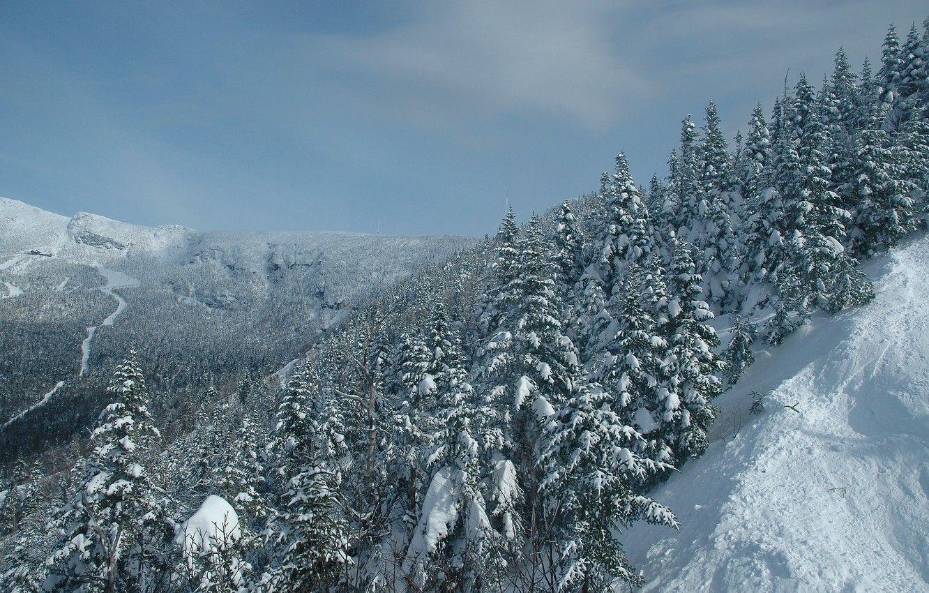 1332x850 Wallpaper winter, forest, snow, trees, mountains, ate, Vermont, Vermont, Mount Mansfield, mount Mansfield, Stowe, Stowe image for desktop, section пейзажи
