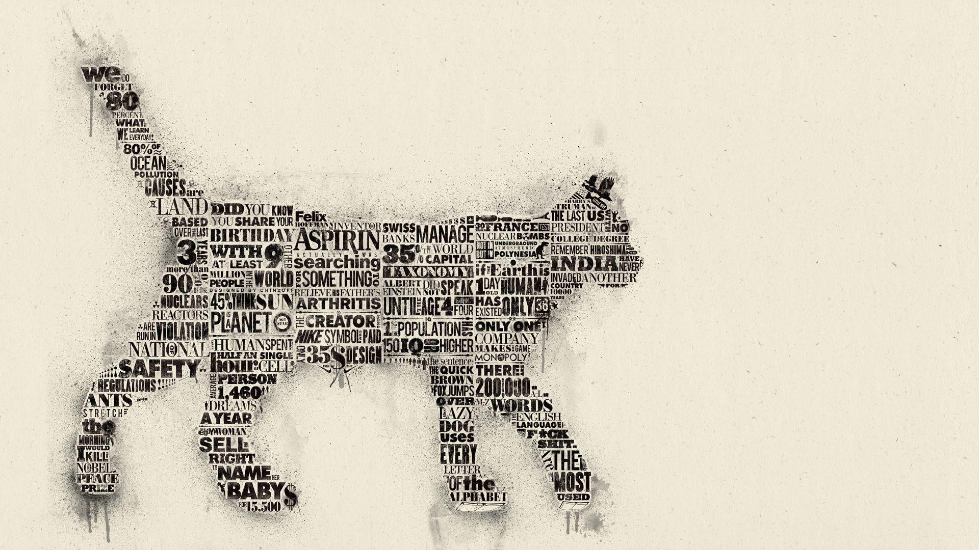 1920x1080 text, cats, typography, infographics, facts, statistics, typographic portrait wallpaper