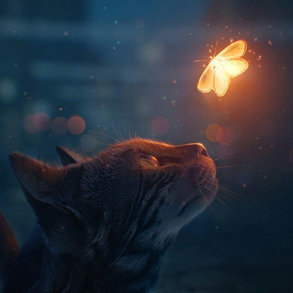 1024x1024 Cat Scene Download Wallpaper Engine