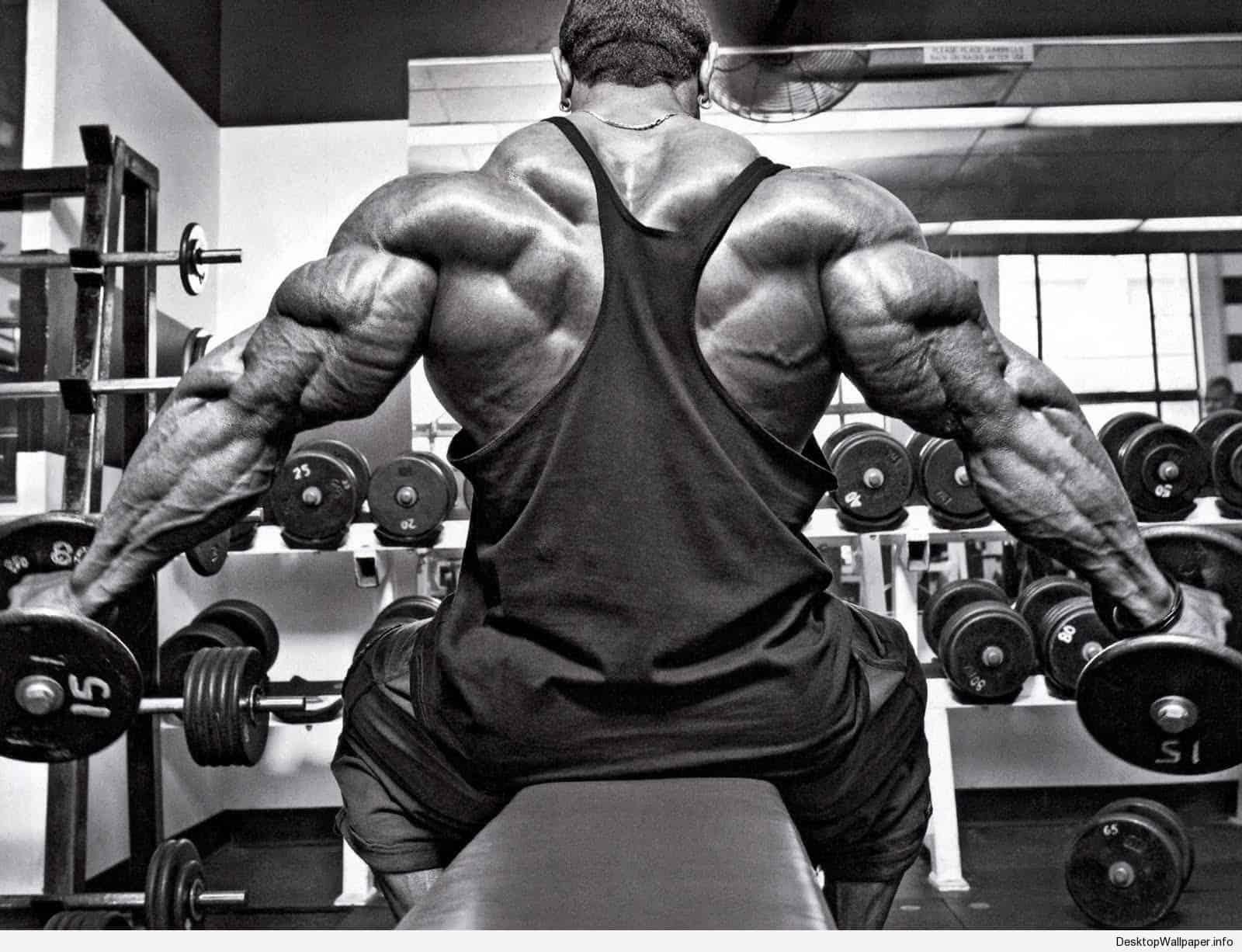 1600x1226 Body Building HD Wallpaper