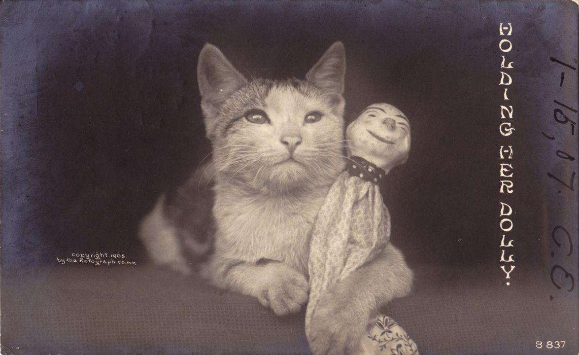 Vintage Cat Wallpapers - Top Free Vintage Cat Backgrounds - WallpaperAccess