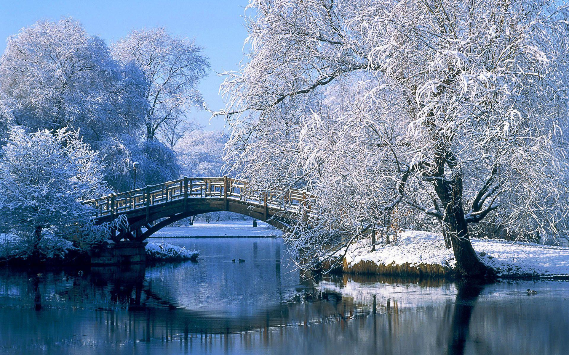 1920x1200 Wallpaper Germany, winter, bridge, snow, river, park desktop wallpaper Nature. Пейзажи, Зимние сцены, Живописные пейзажи