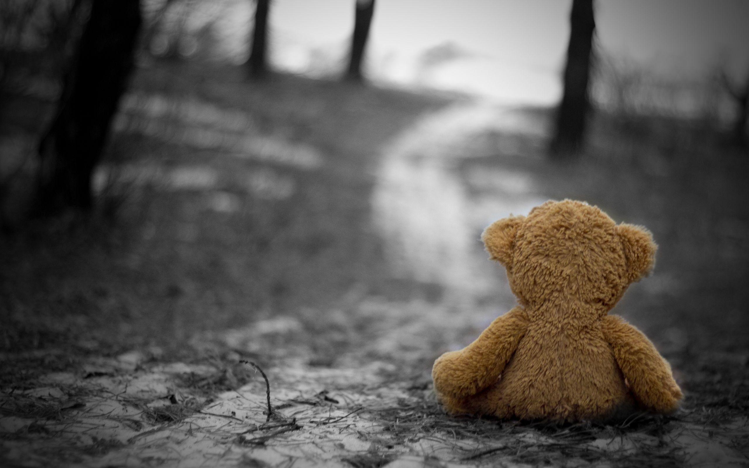 Sad Bear Wallpapers - Top Free Sad Bear Backgrounds - WallpaperAccess