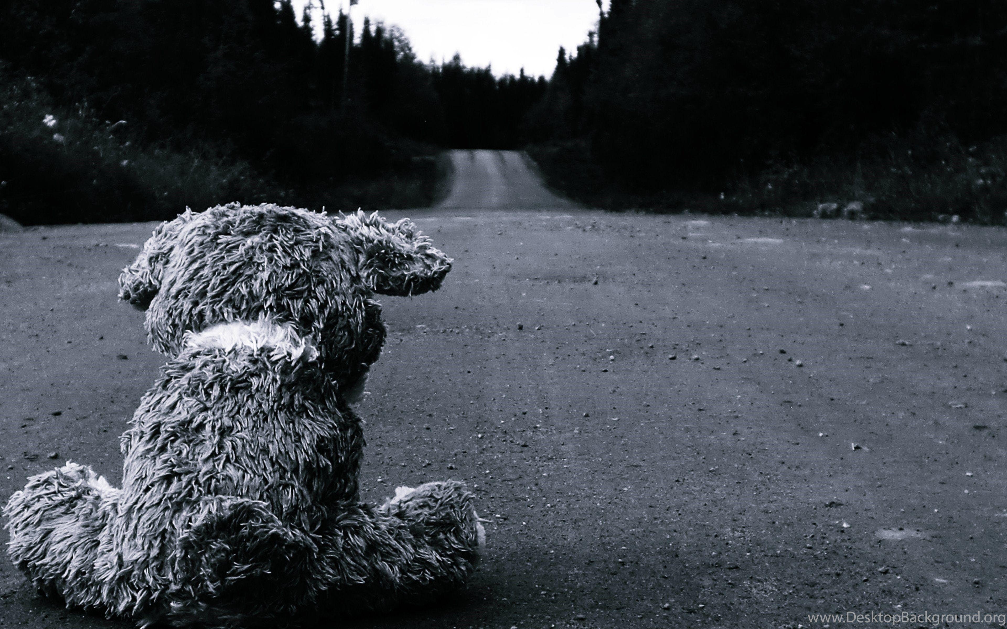 3840x2400 Sad Teddy Bear Computer Wallpaper, Desktop Background. Desktop Background