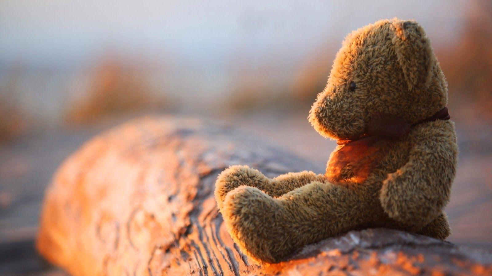 1600x900 How To Be Miserable In 7 Easy Steps. Teddy bear picture, Teddy bear wallpaper, Bear wallpaper