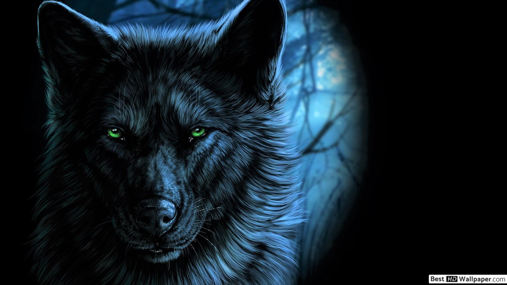 1920x1080 Wolf by the Light of a Full Moon HD wallpaper download