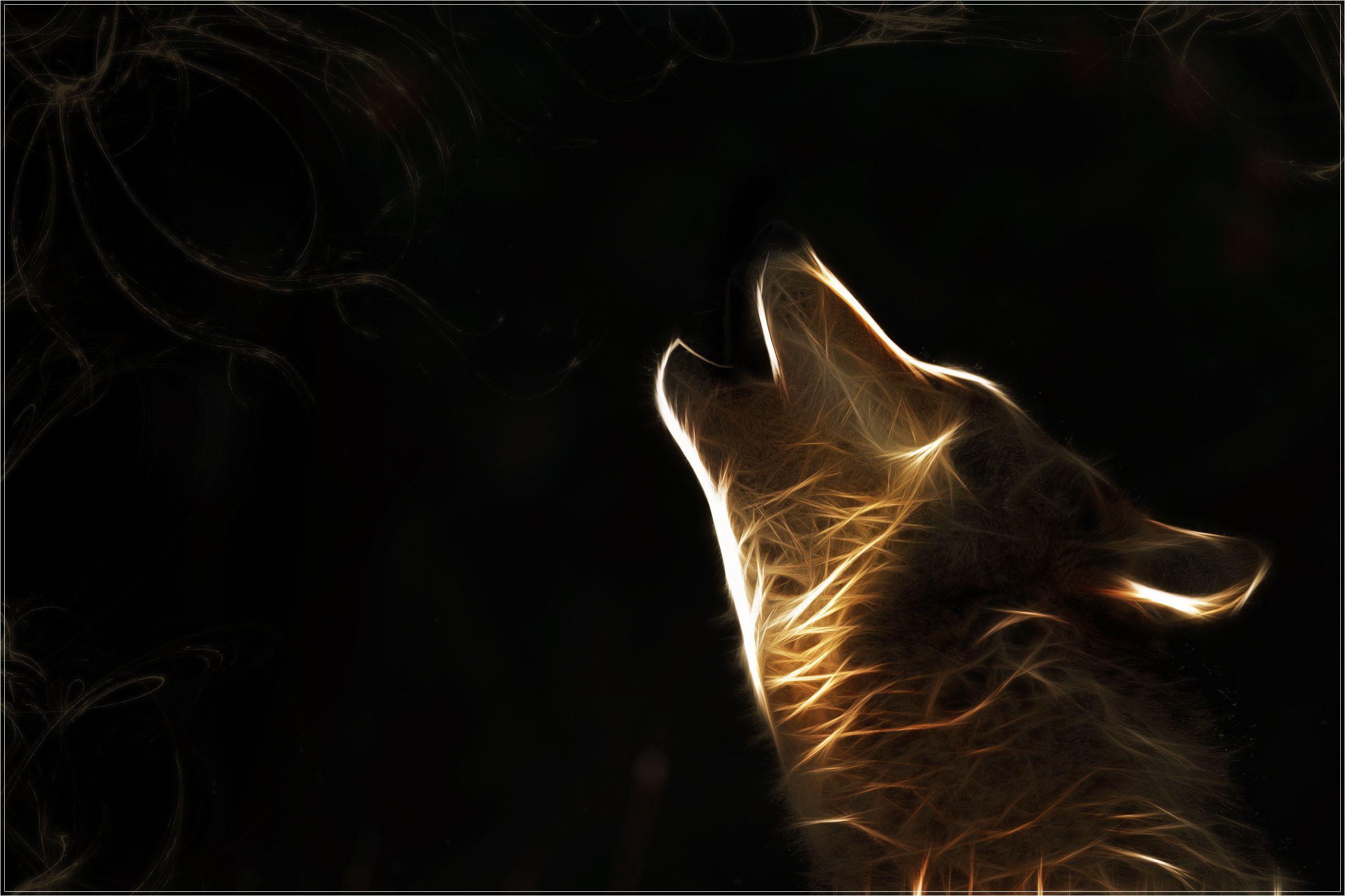 2550x1699 Download wallpaper: wolf, wallpaper, photo, for desktop