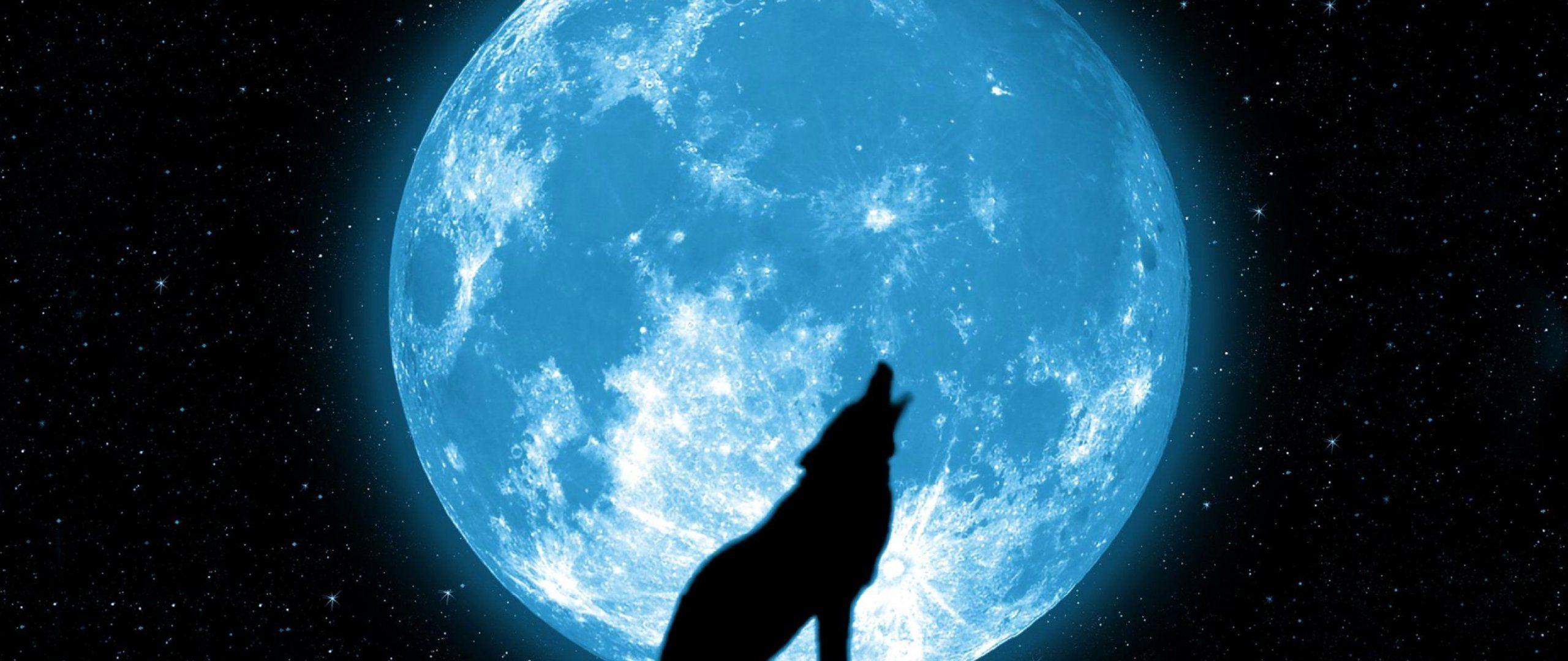 2560x1080 Miscellaneous Digital Art Wolf Wolf And Ful Moom Wallpaper : High Res Wallpaper Image For Download