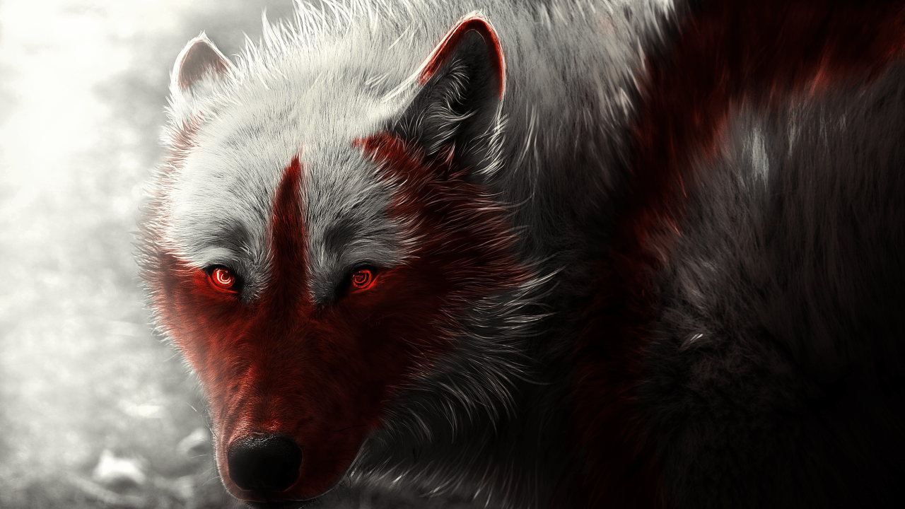 1280x720 Wallpaper Arctic wolf, Digital art, HD, Creative Graphics / Editor's Picks,. Wallpaper for iPhone, Android, Mobile and Desktop