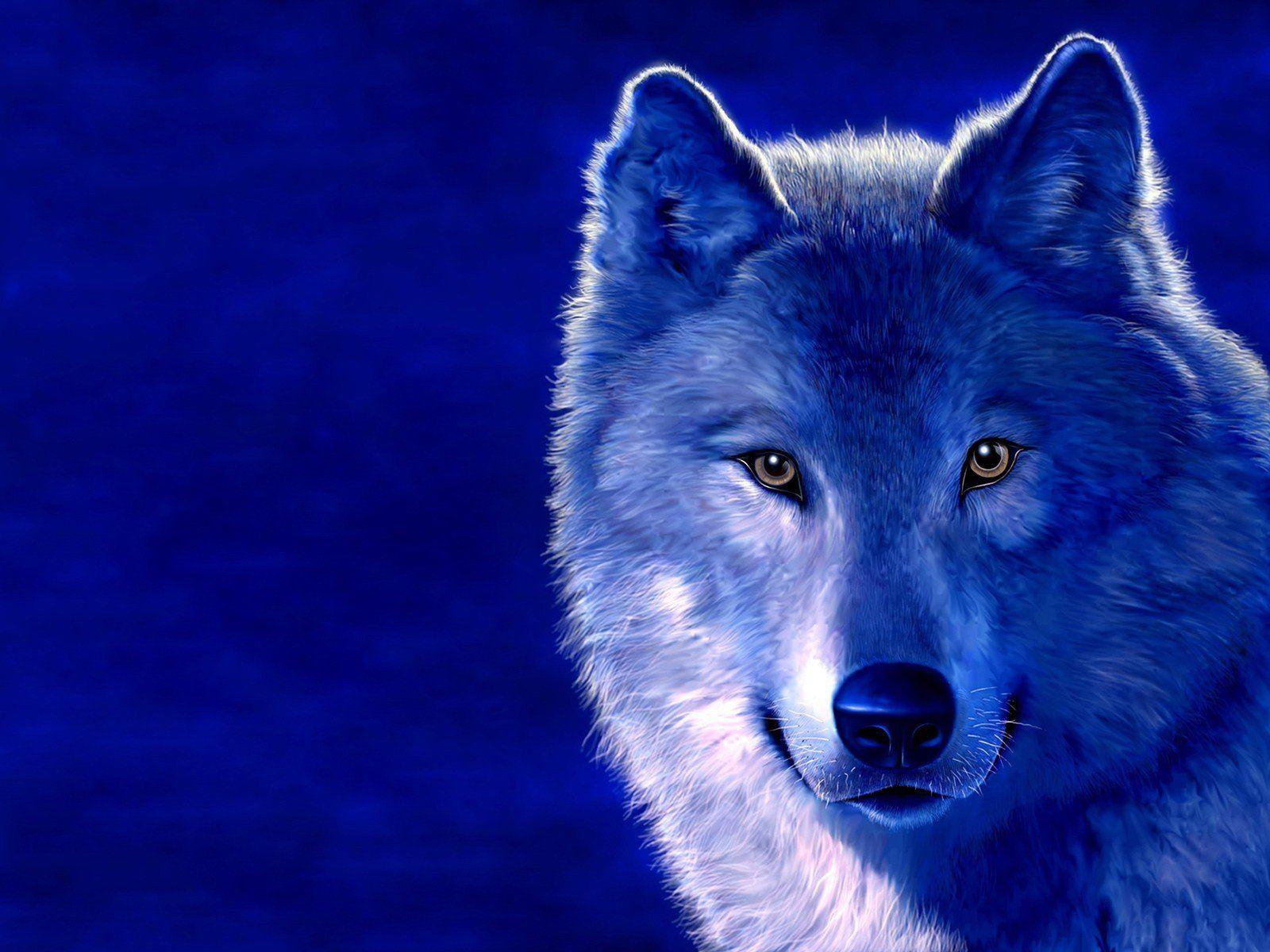1600x1200 Blue animals digital art wolves wallpaperx1200. Animals, Wolf spirit, Wolf wallpaper