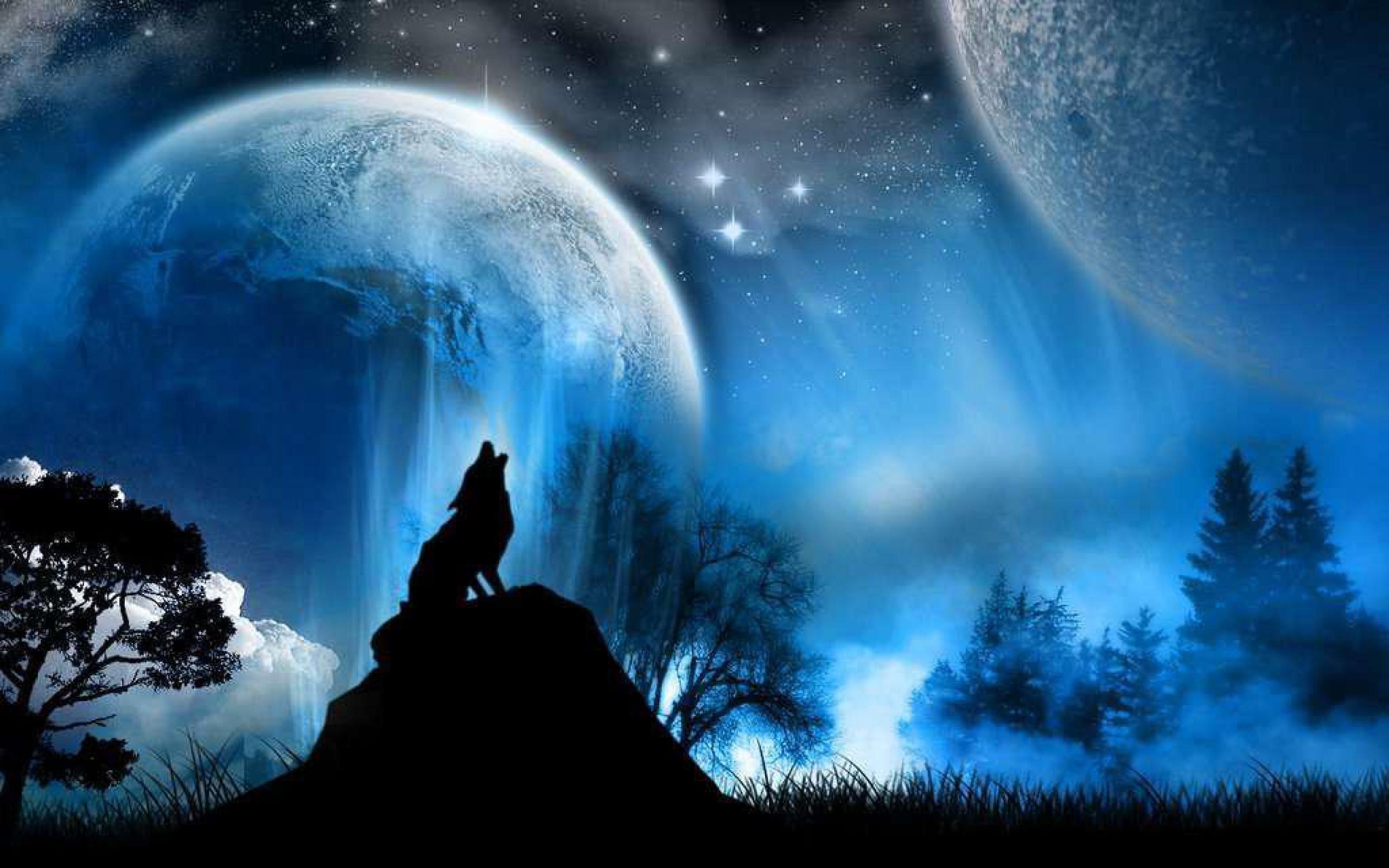2560x1600 Wolf Pack 2 HD Live Wallpaper for Android