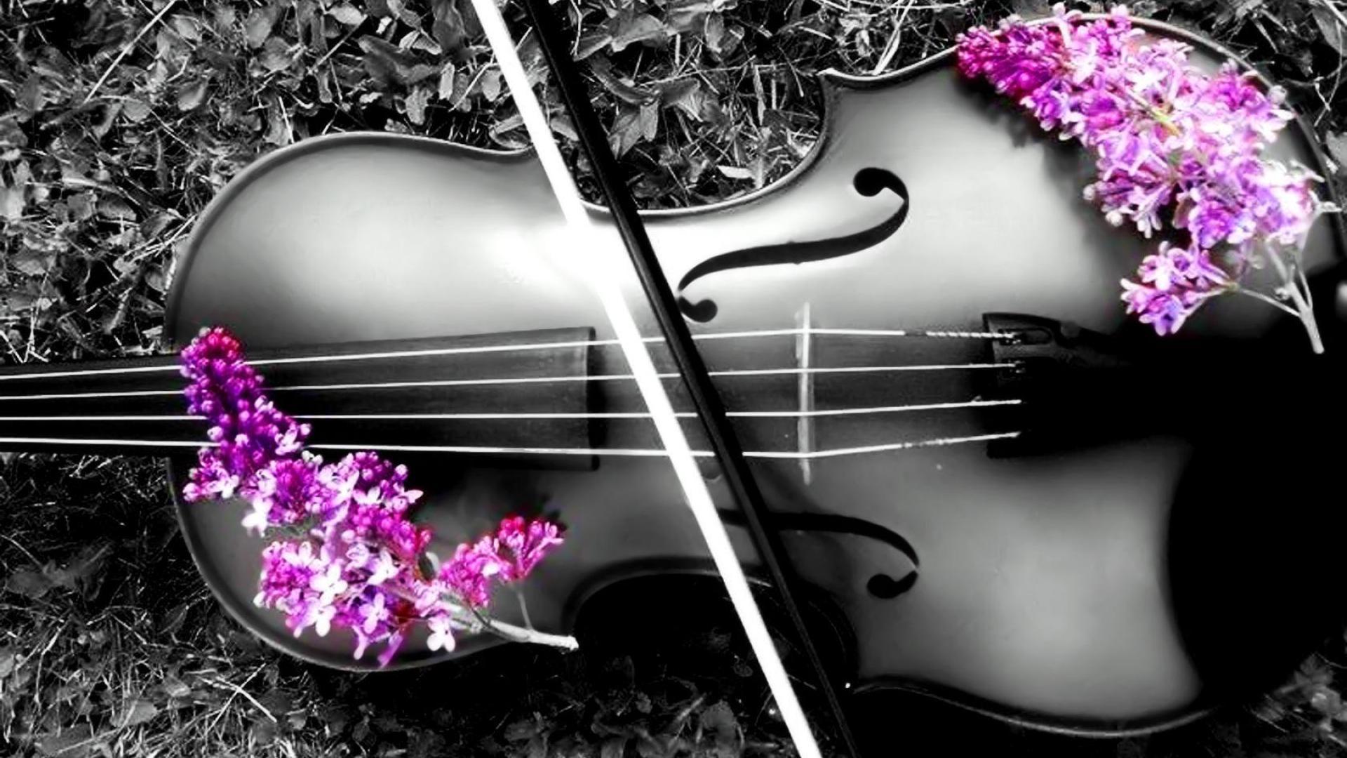 Рингтоны на телефон скрипка. Скрипка. Красивая скрипка. Скрипка и цветы. Скрипка картинка.