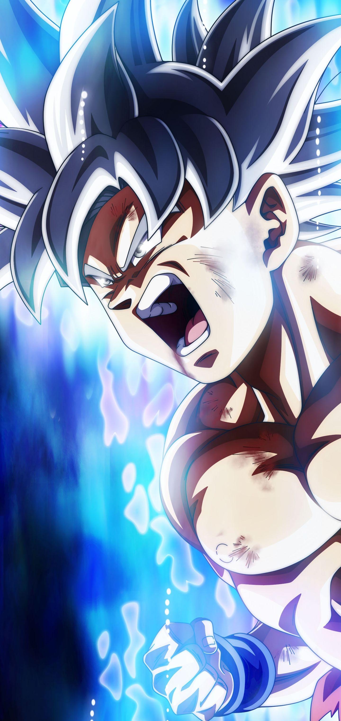 1440x3040 Samsung / Galaxy S10 HD Wallpaper 1920x1080 S1 10 Dragon Ball Super Dragon Ball Mobile Wallpaper 901129 Jpg