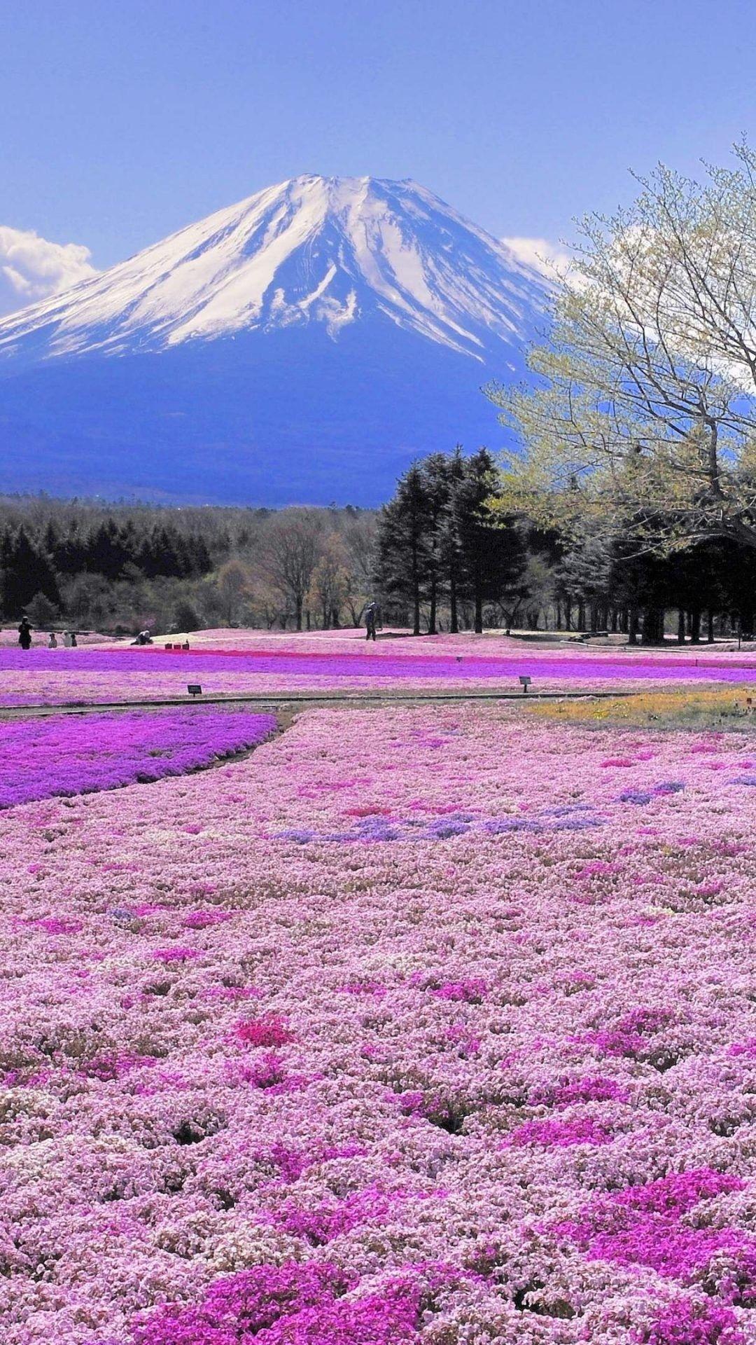 1080x1920 65 Japanese Scenery Wallpaper On
