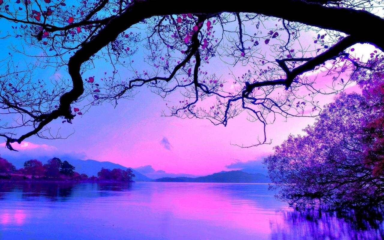 1280x800 Blue and Purple sunset