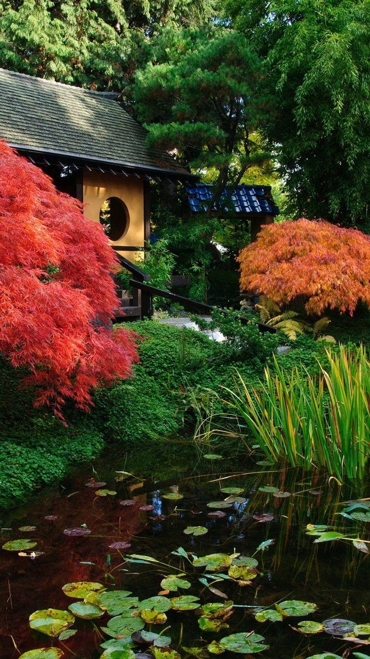 750x1334 Japanese Scenery, Garden, Pond 750x1334 IPhone 8 7 6 6S Wallpaper, Background, Picture, Image