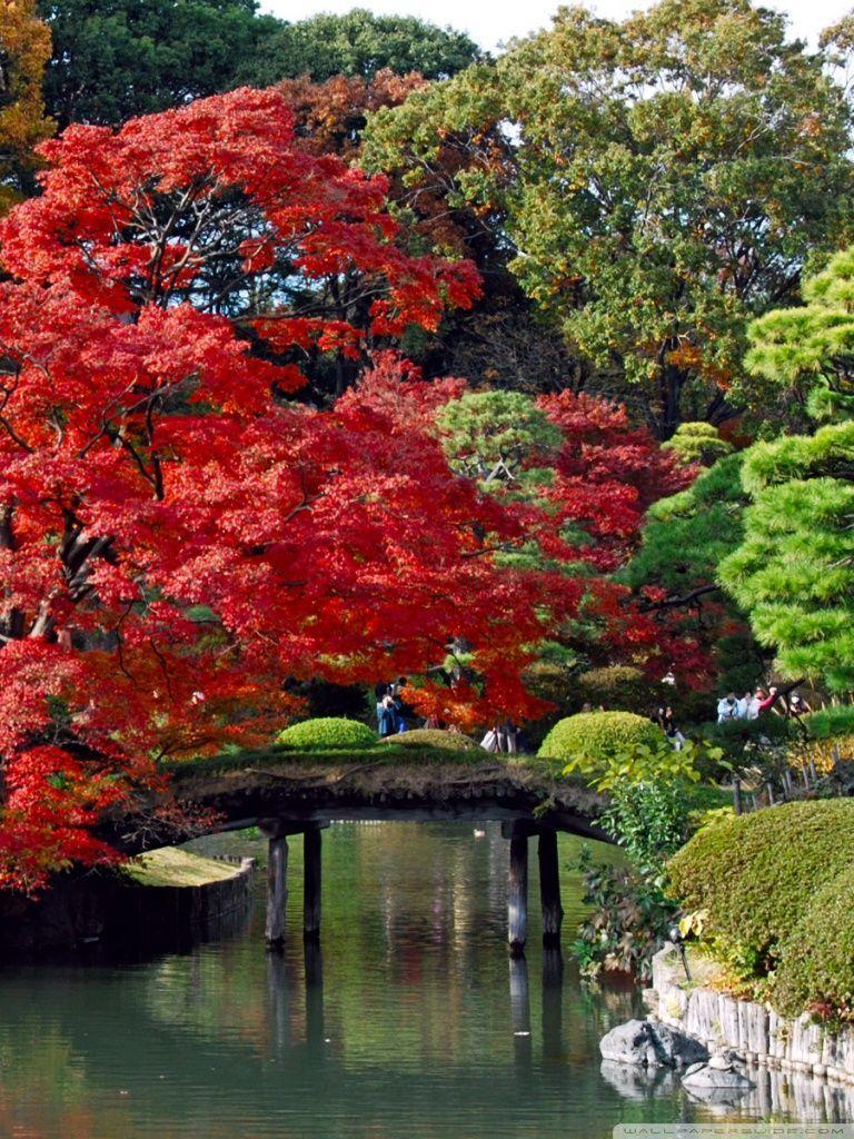 768x1024 Wallpaper Japan
