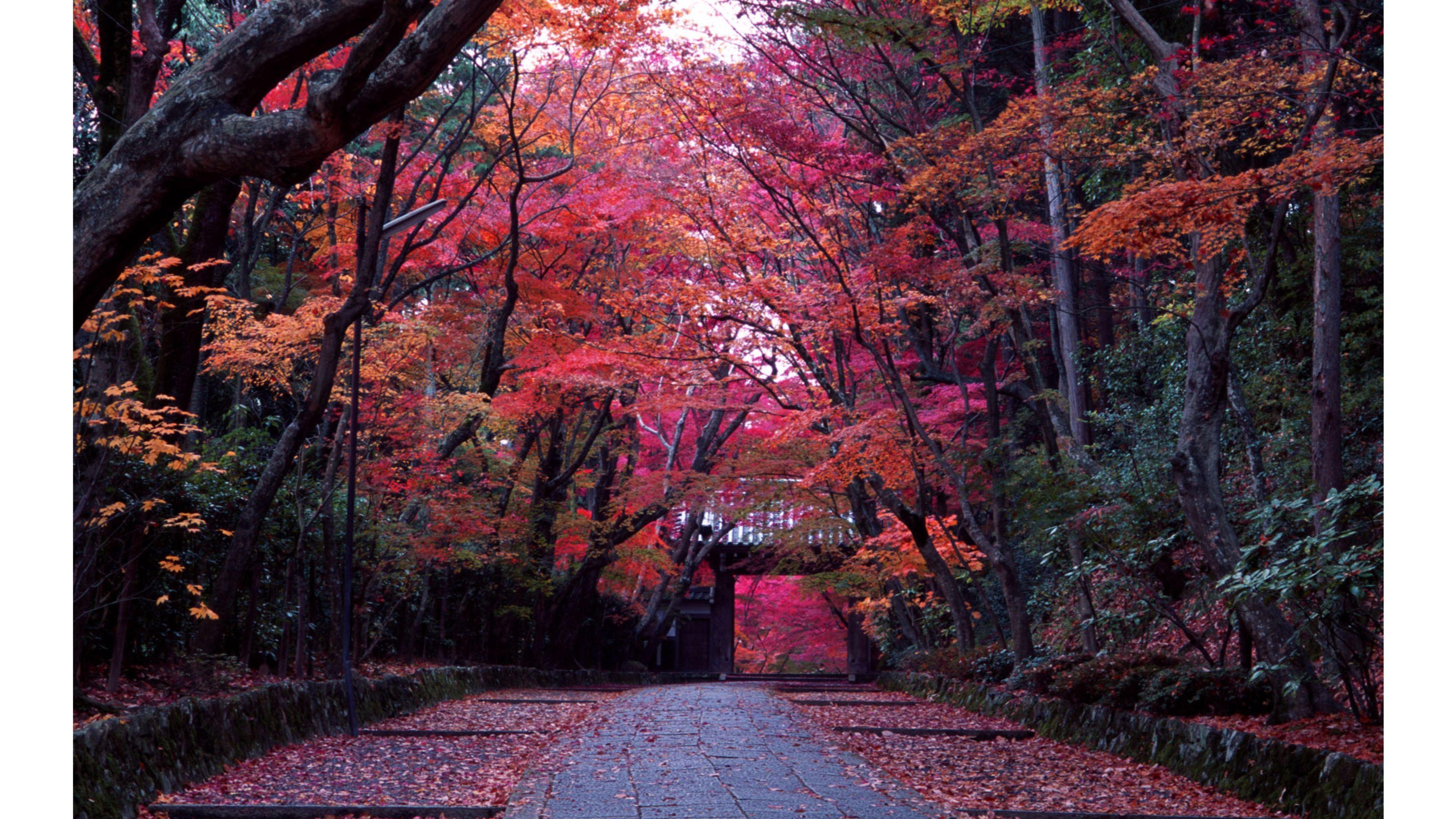 3840x2160 Top Kyoto, Japan 4K Wallpaper. Free 4K Wallpaper