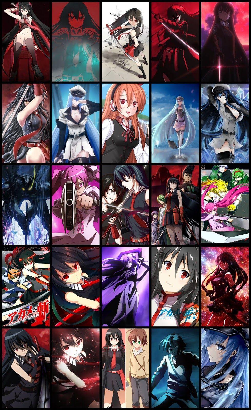 Akame Ga Kill Phone Wallpapers - Top Free Akame Ga Kill Phone Backgrounds -  WallpaperAccess