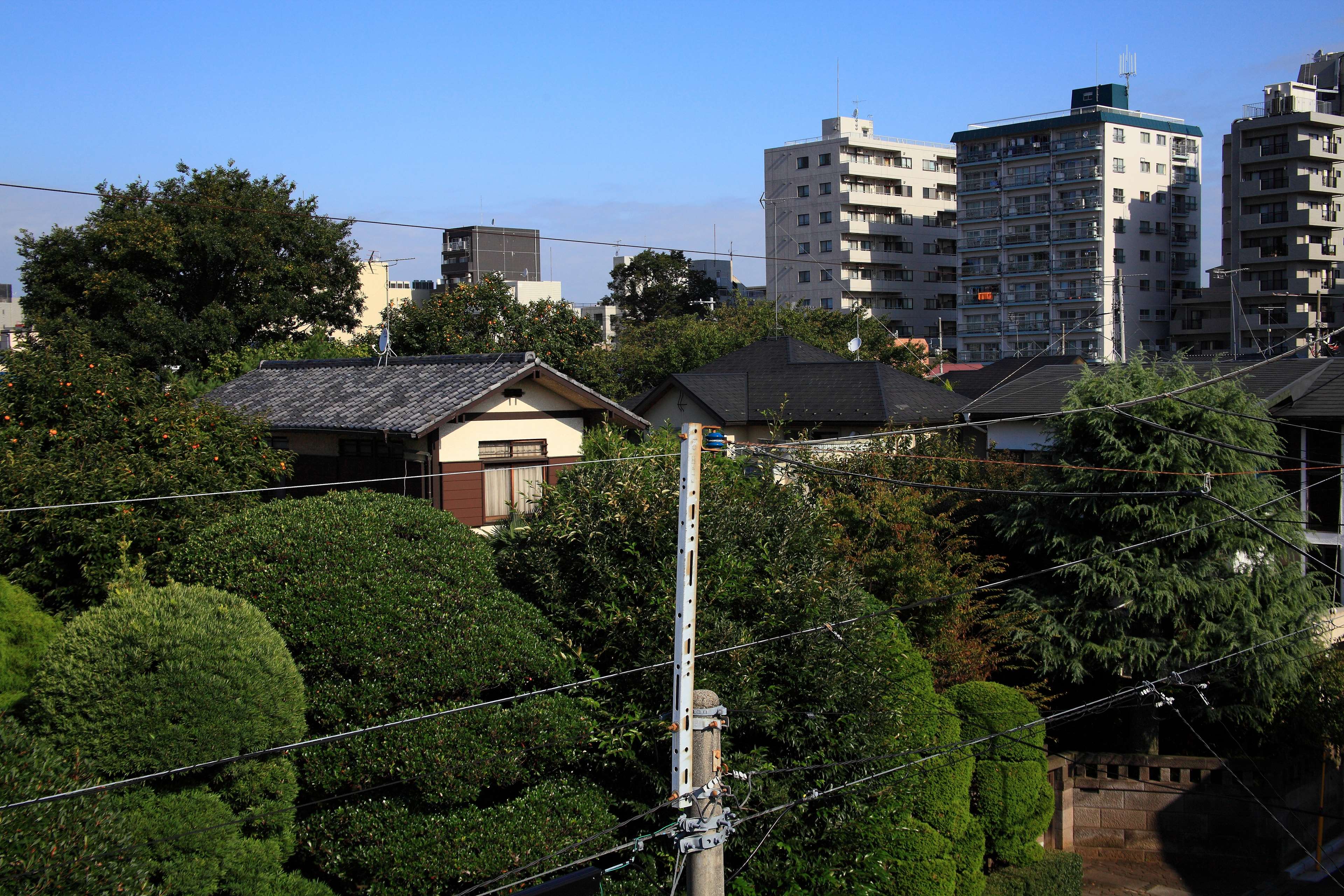 3840x2560 building, city, garden, japan, landscape, wood 4k wallpaper