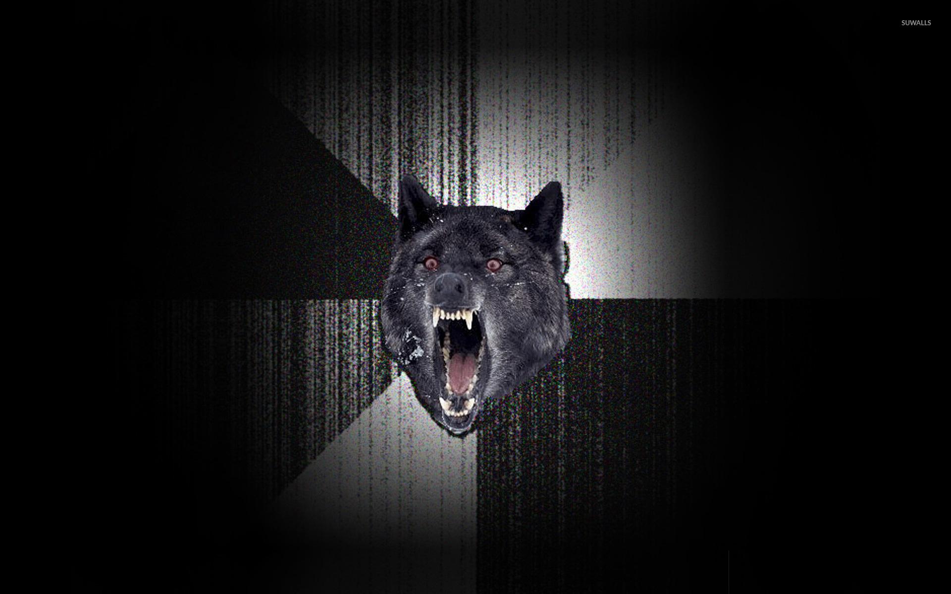 1920x1200 Insanity Wallpaper, 441.7 Kb