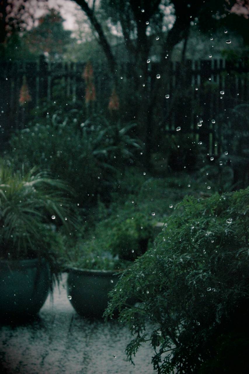 853x1280 Rainy wallpaper