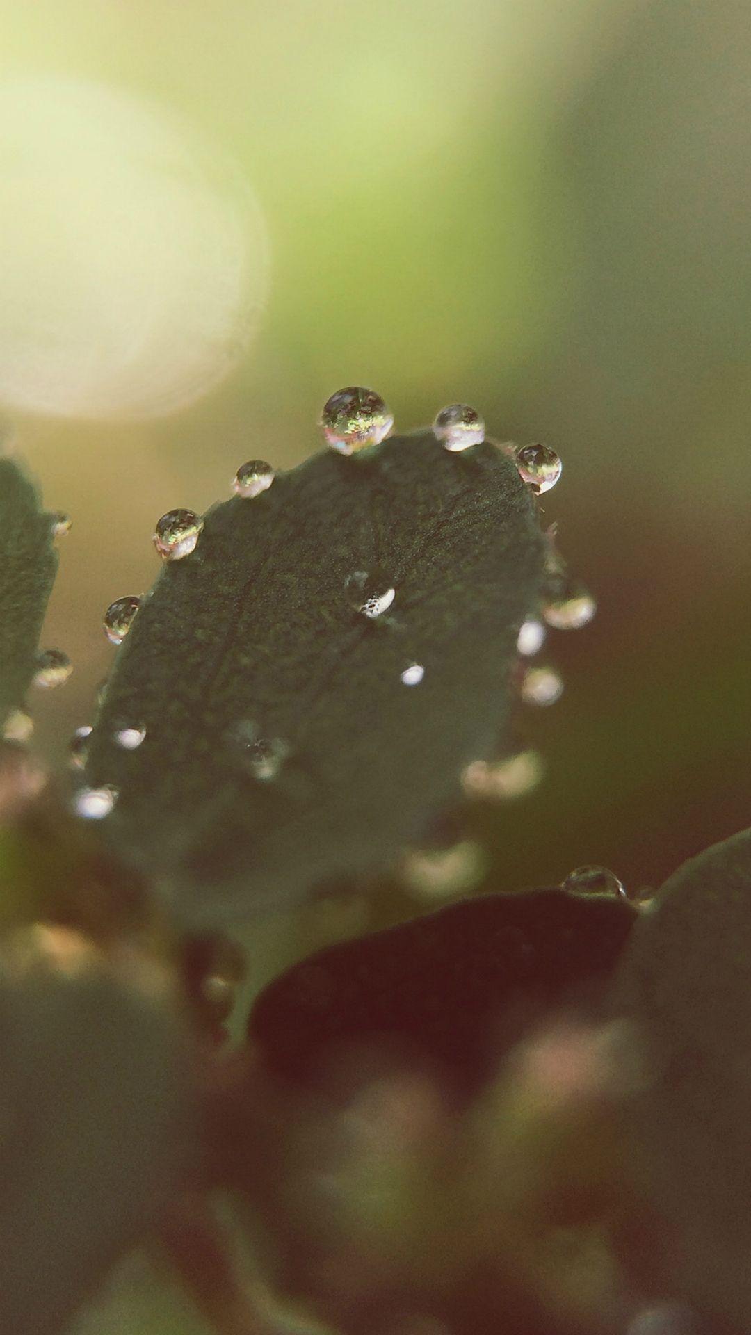 1080x1920 Best rain iPhone 8 Wallpaper HD