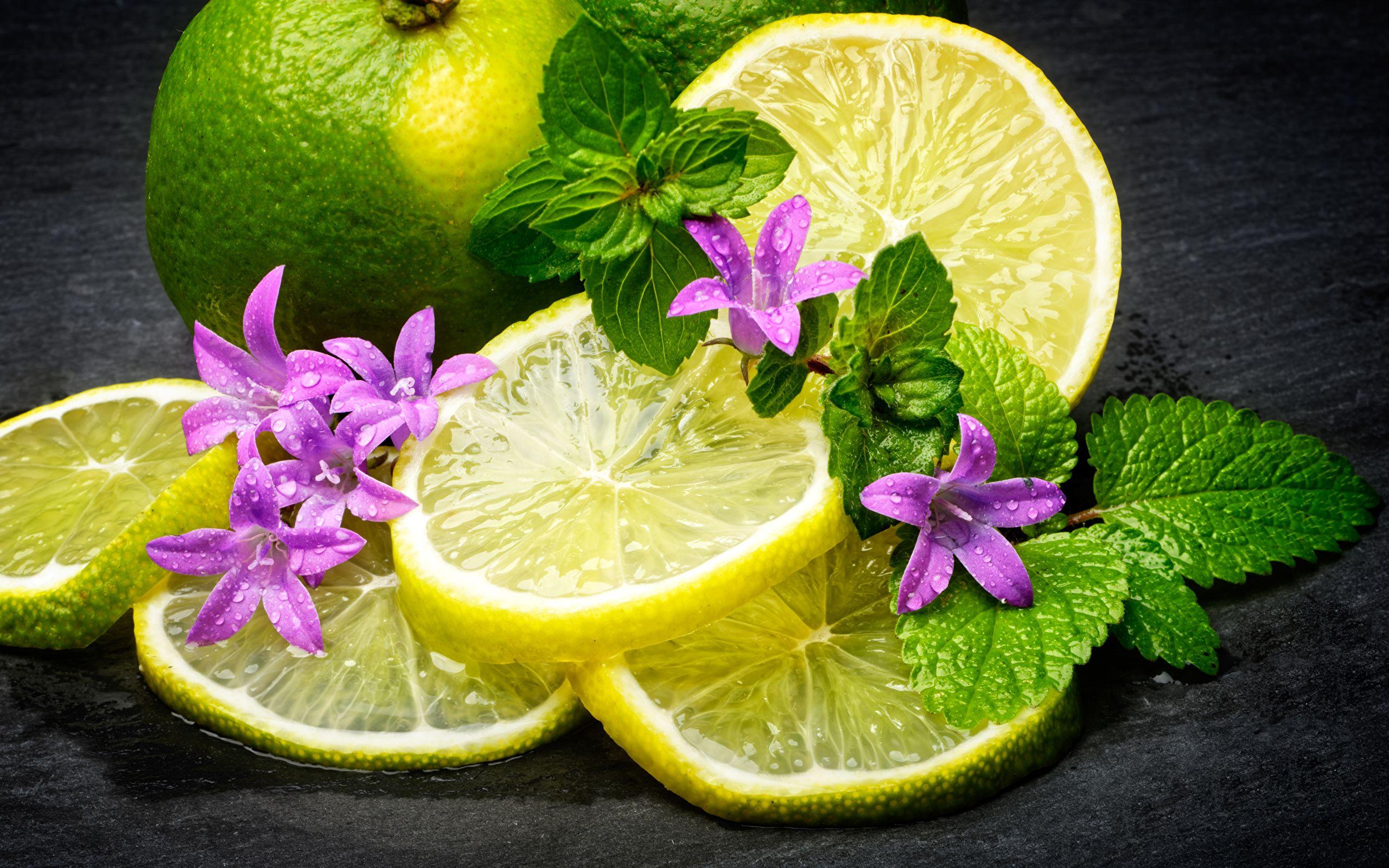 2560x1600 Desktop Wallpaper Leaf Lemons Food 2560x1600
