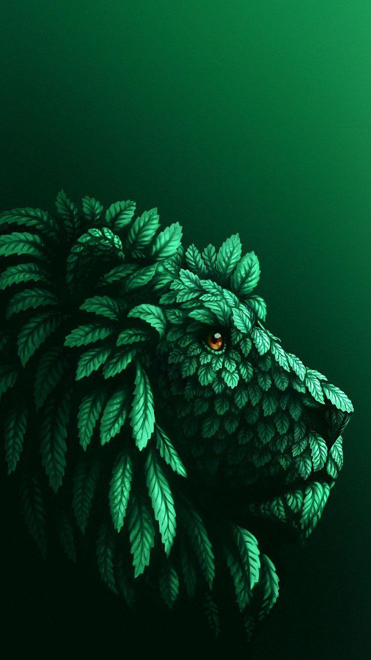 Animal Green Wallpapers - Top Free Animal Green Backgrounds