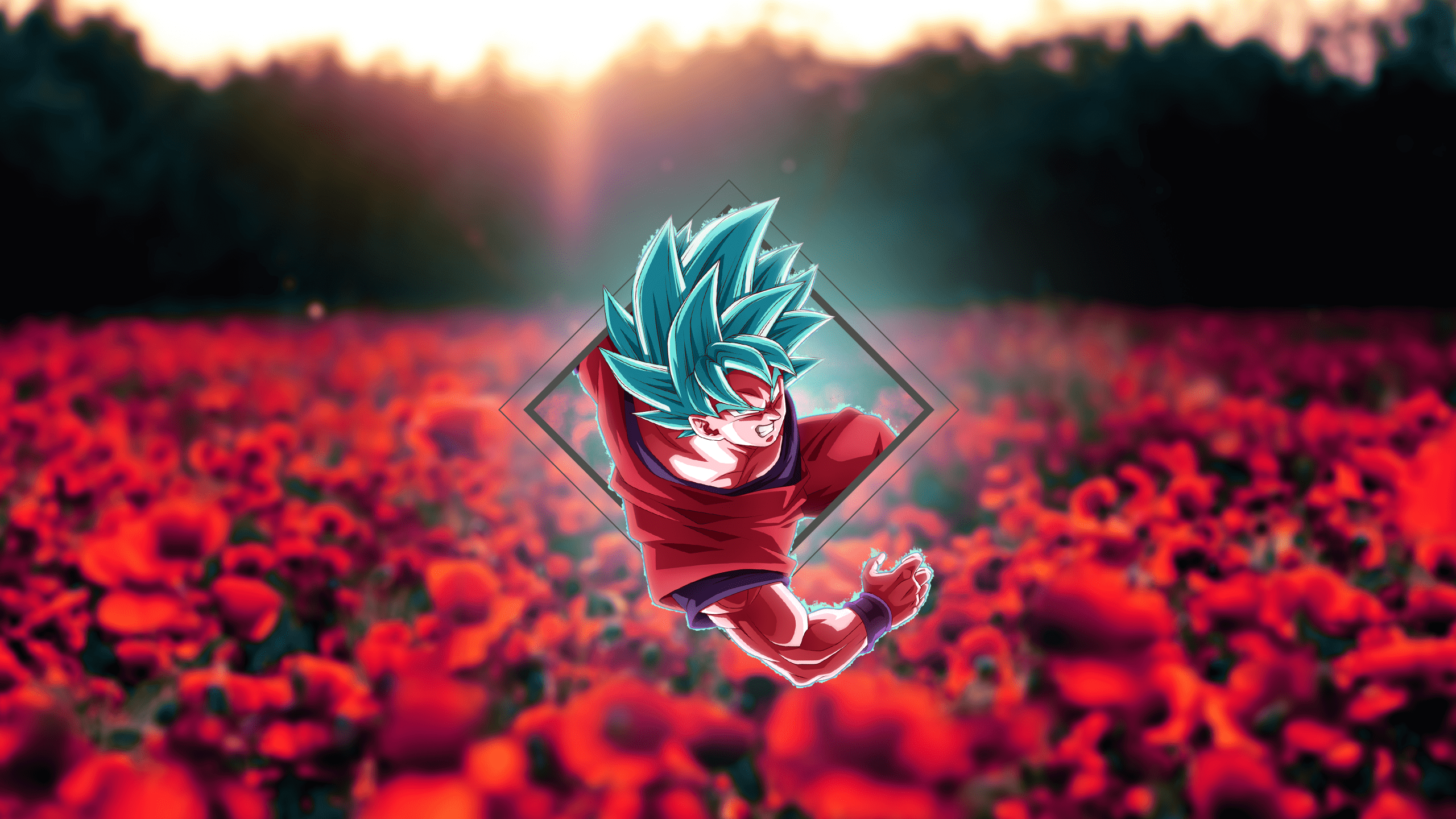 2560x1440 Made one of those 'Renders in Shapes' wallpaper for Dragon Ball. Thought I'd share!