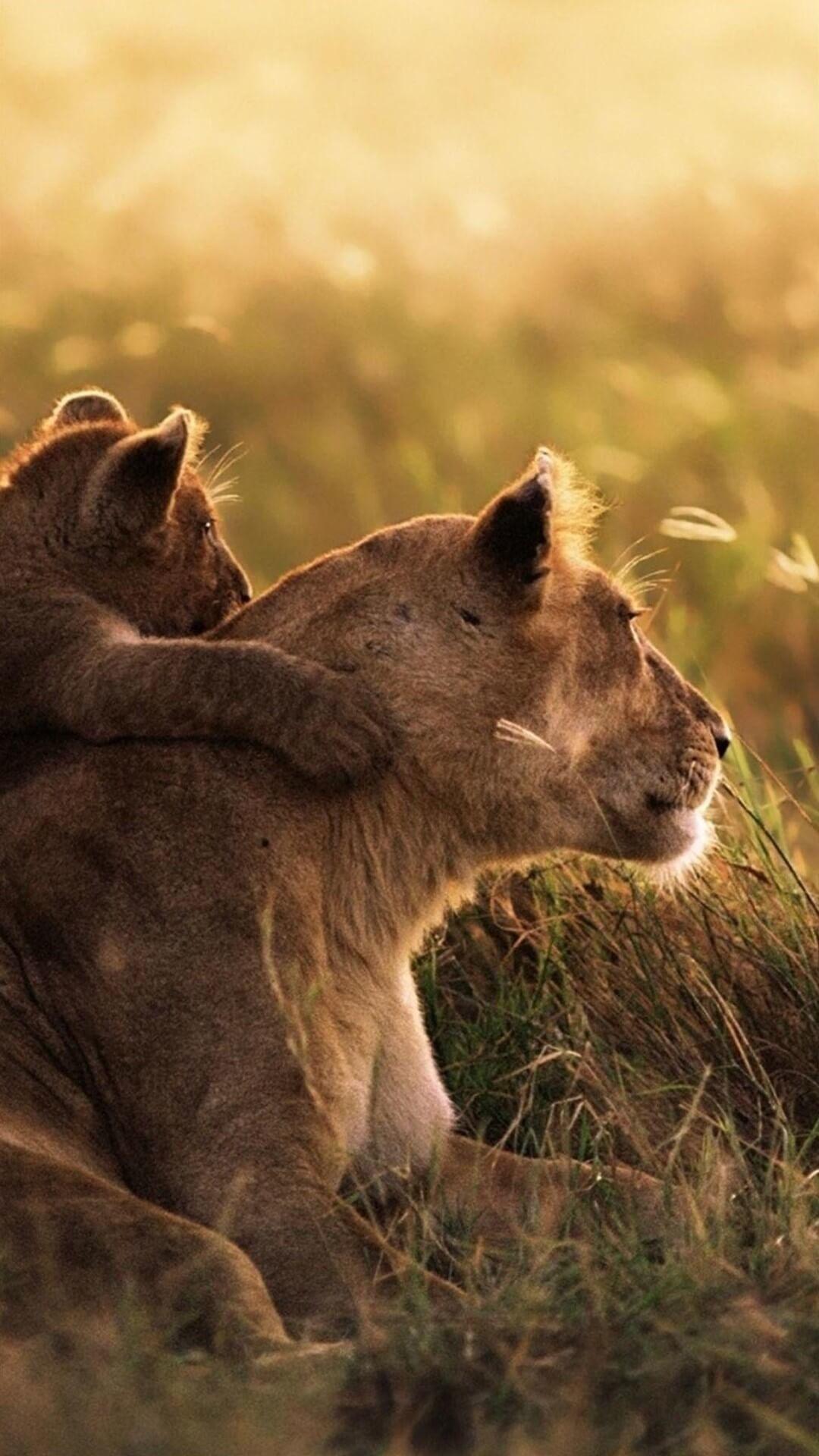 1080x1920 Lion iPhone