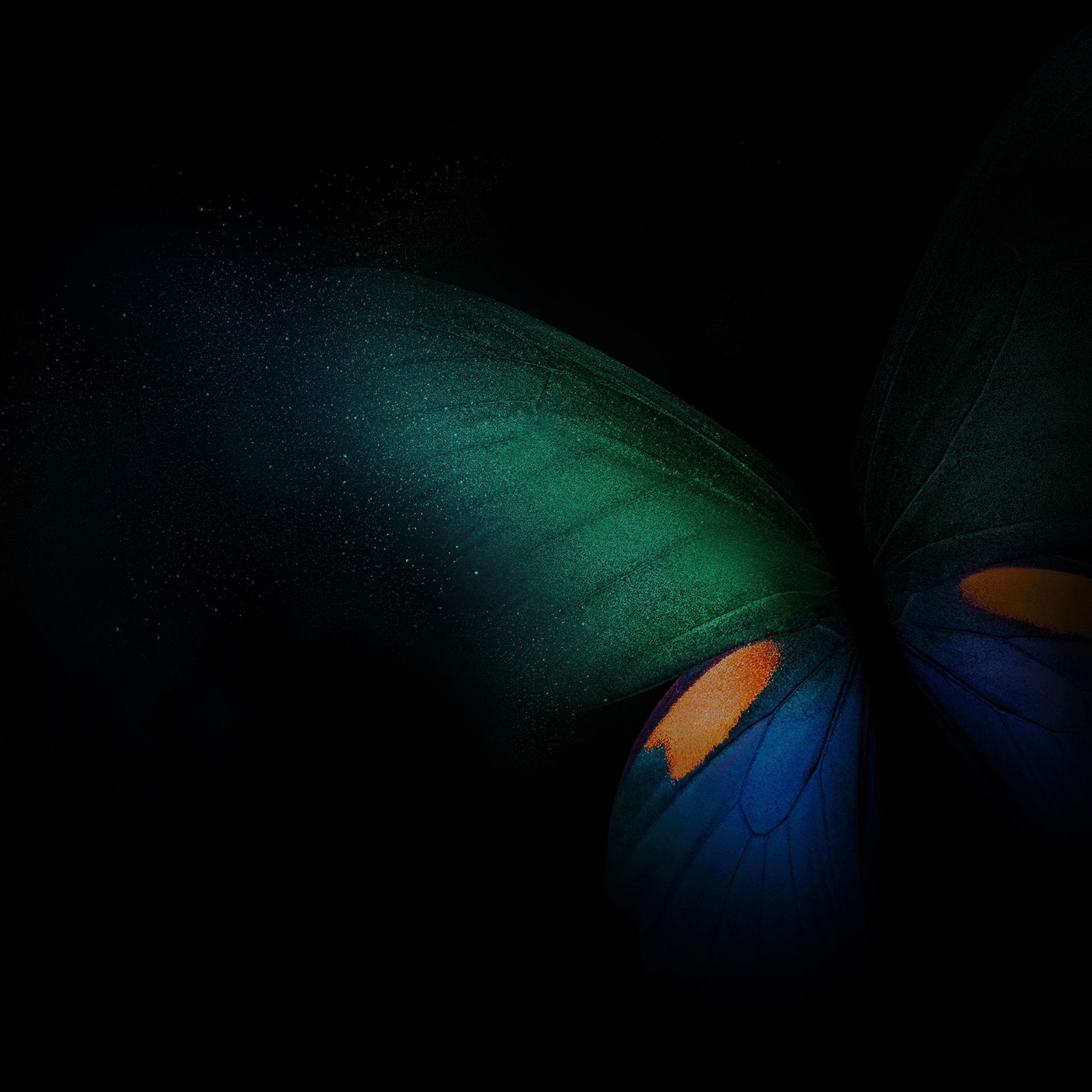 1920x1920 Wallpaper Samsung Galaxy Fold, Butterfly, Green, Blue, Black background, Dark, Others,. Wallpaper for iPhone, Android, Mobile and Desktop