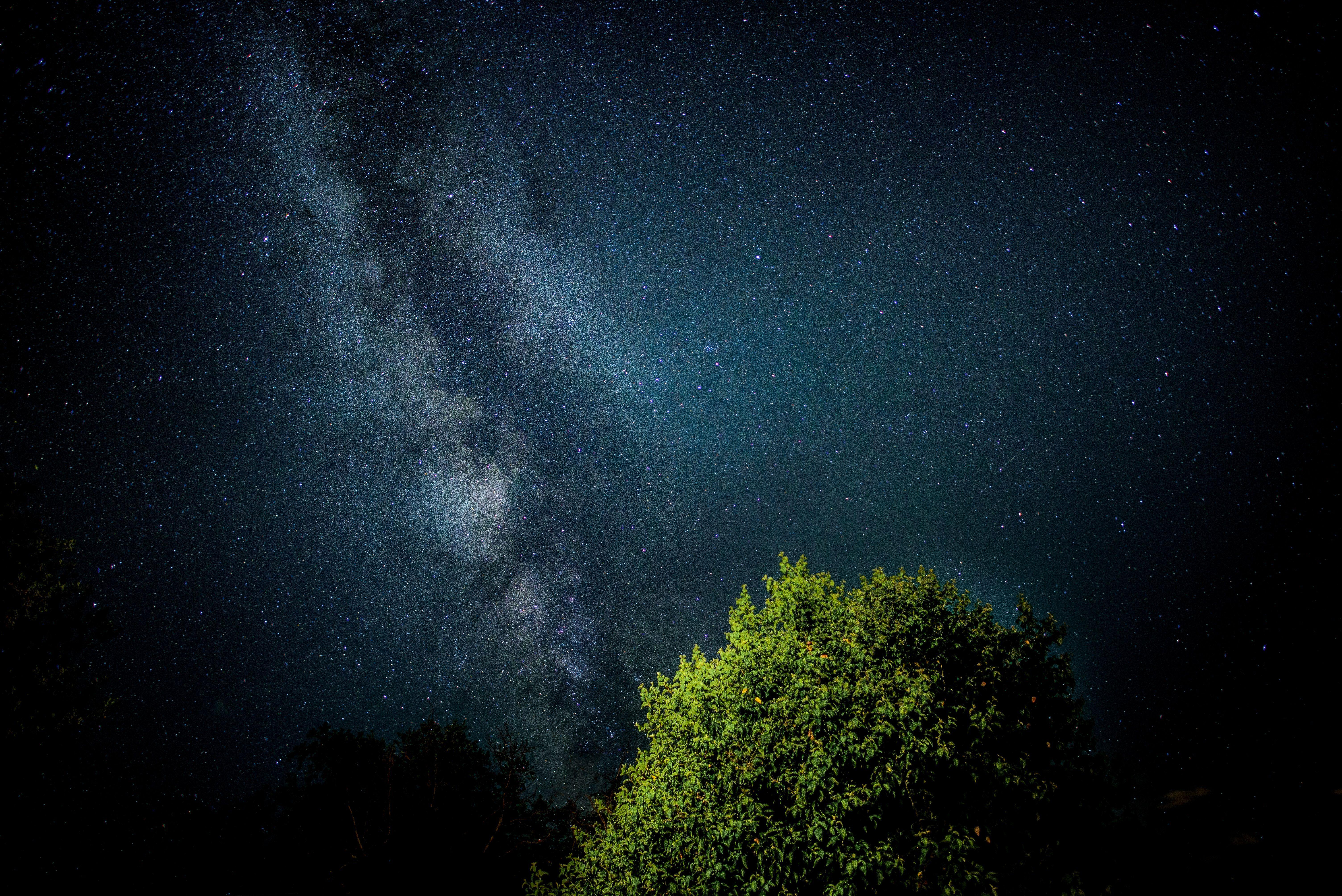 6016x4016 6016x4016 #nature, #night, #astro, #planet, #space, #dark, #tree, # galaxy, #milkyway, #green, #sky, #heaven, #starts, #PNG image, #night sky, #blue, #star. Mocah.org HD Wallpaper
