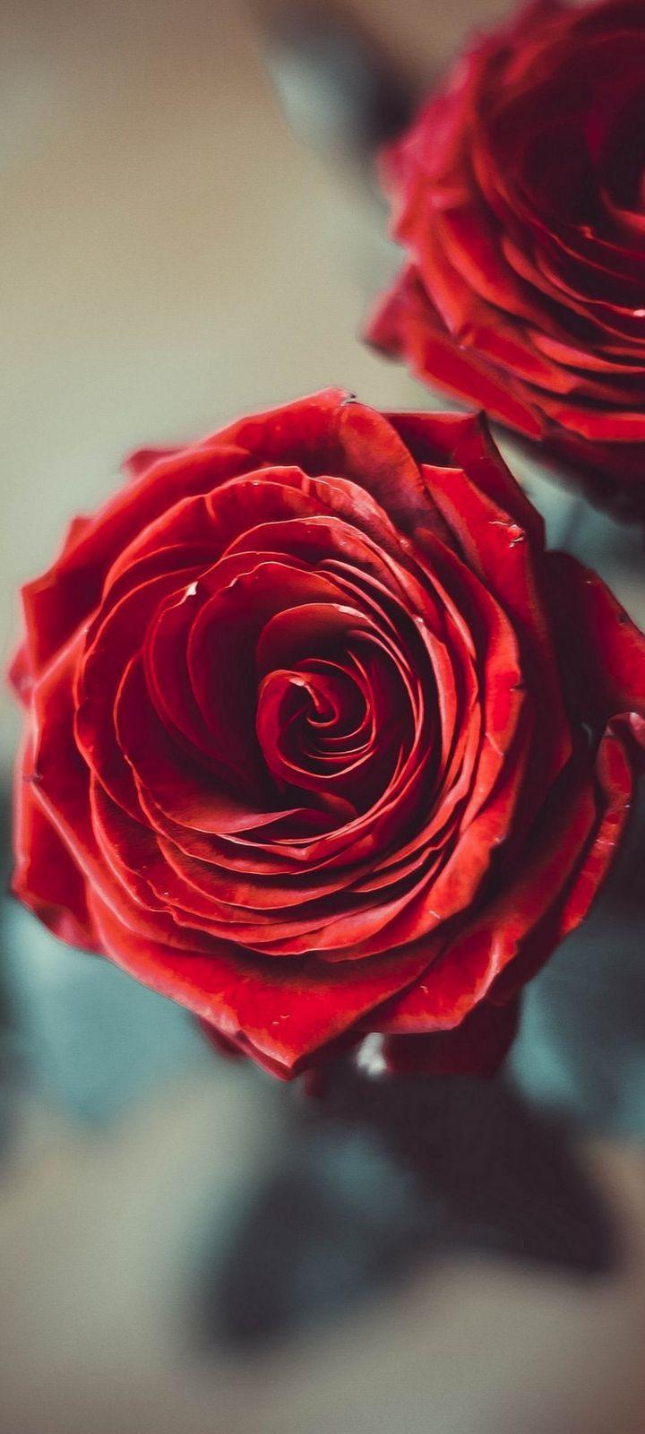 720x1600 Samsung Galaxy A41 Wallpaper