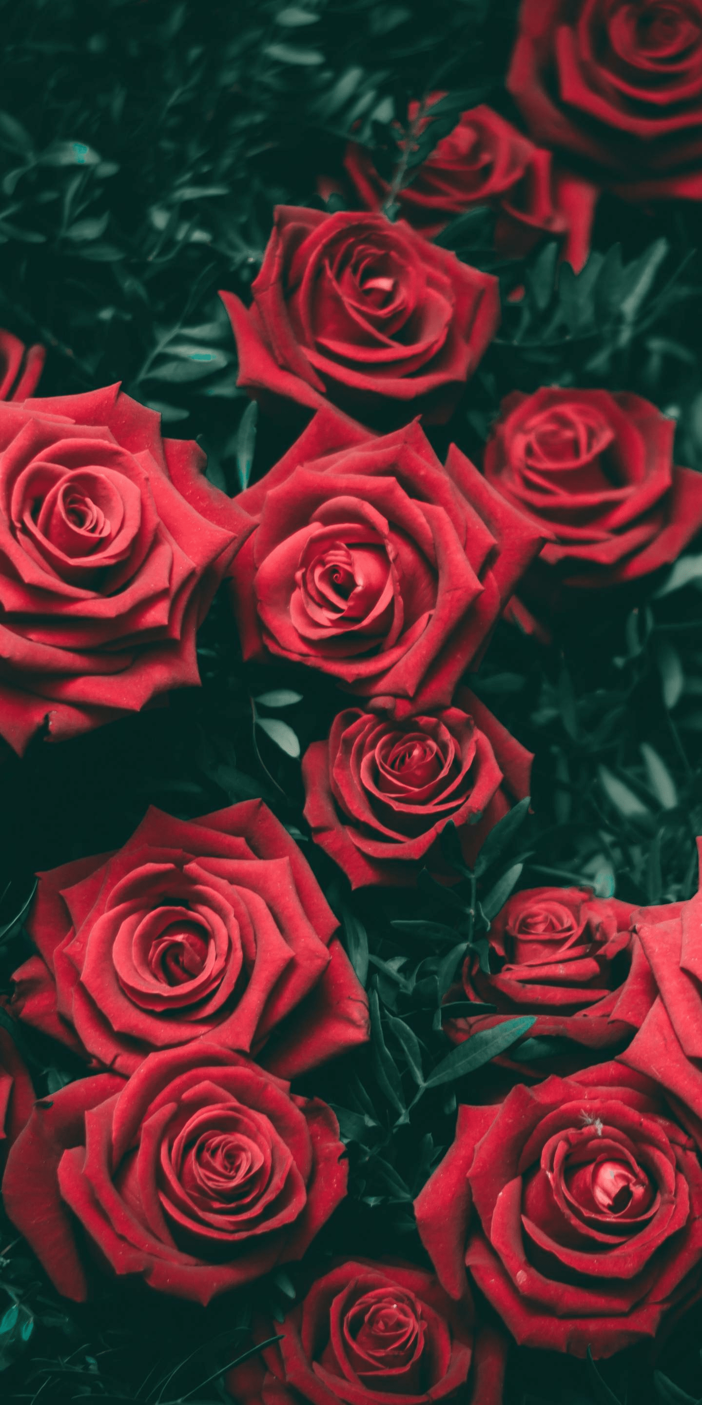 1440x2880 Goth Aesthetic Wallpaper
