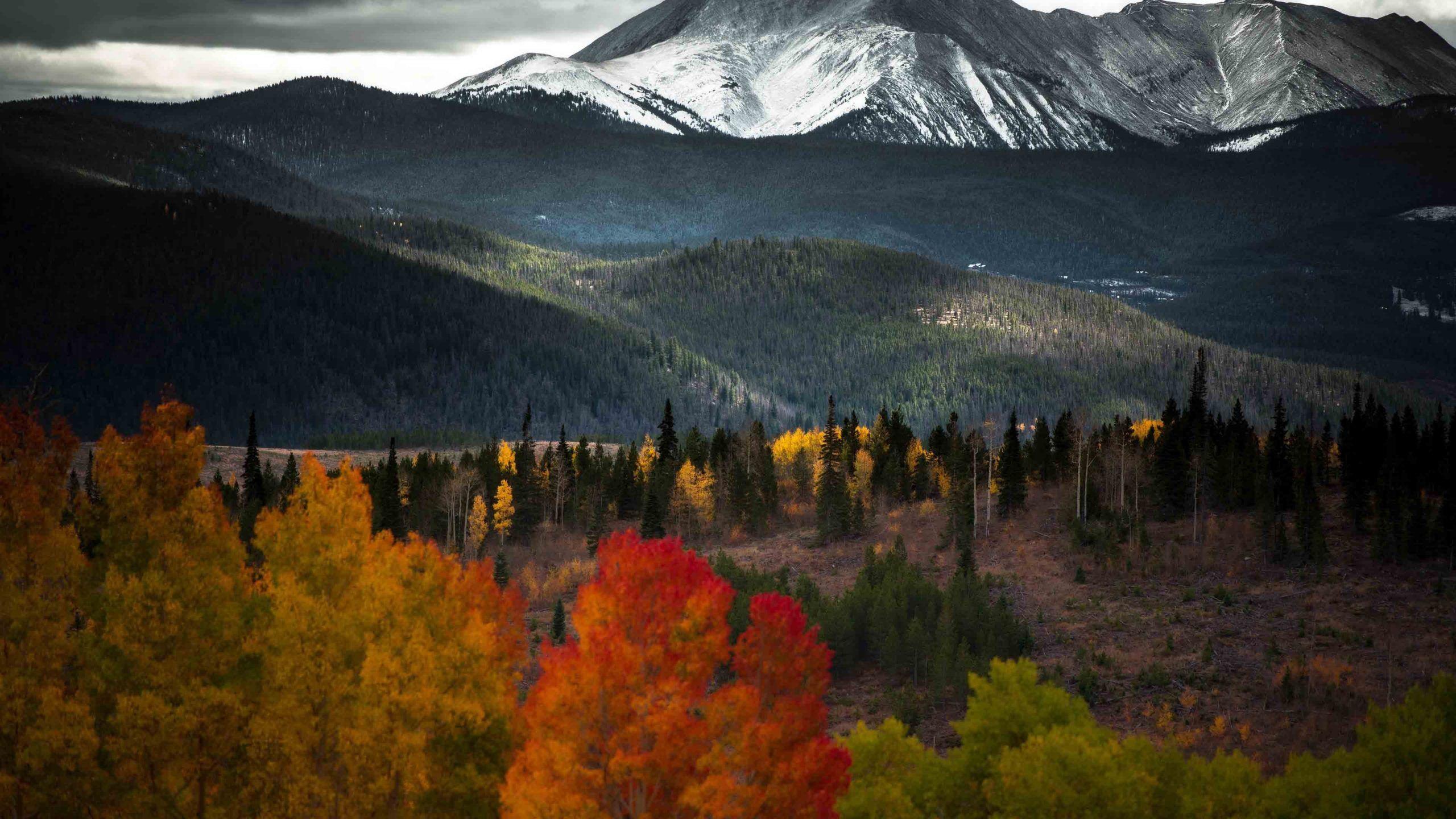 2560x1440 Aesthetic Wallpaper : Fall Wallpaper Aesthetic ComputerD Wallpaper & Drawing Community : Explore & Discover the best and the most inspiring Art & Drawings ideas & trends from