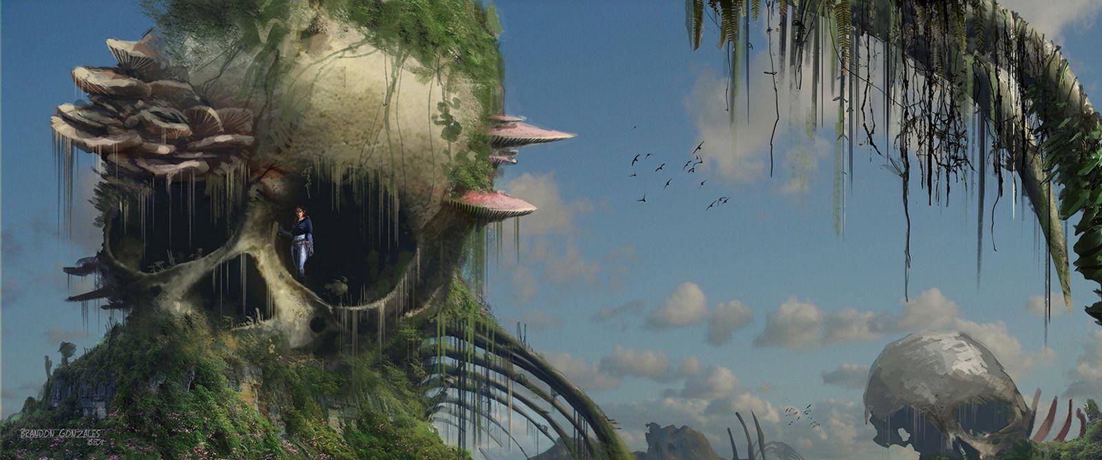 1600x669 Nausicaa Quotes. QuotesGram