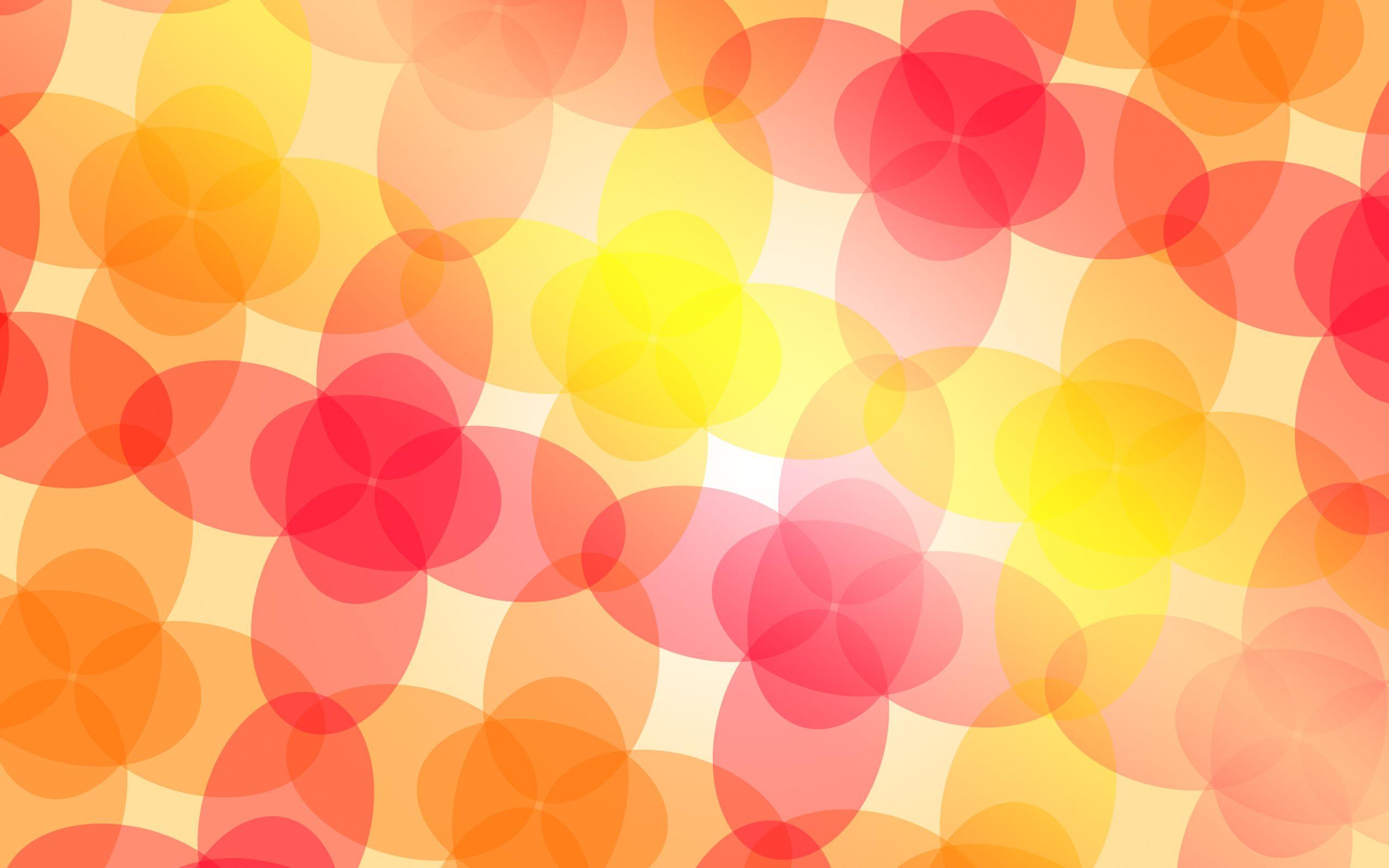 2560x1600 Bohemian HD Wallpaper