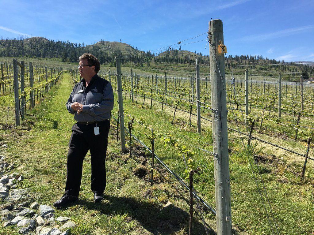 1024x768 BC Wine Regions CRAFT TOURS